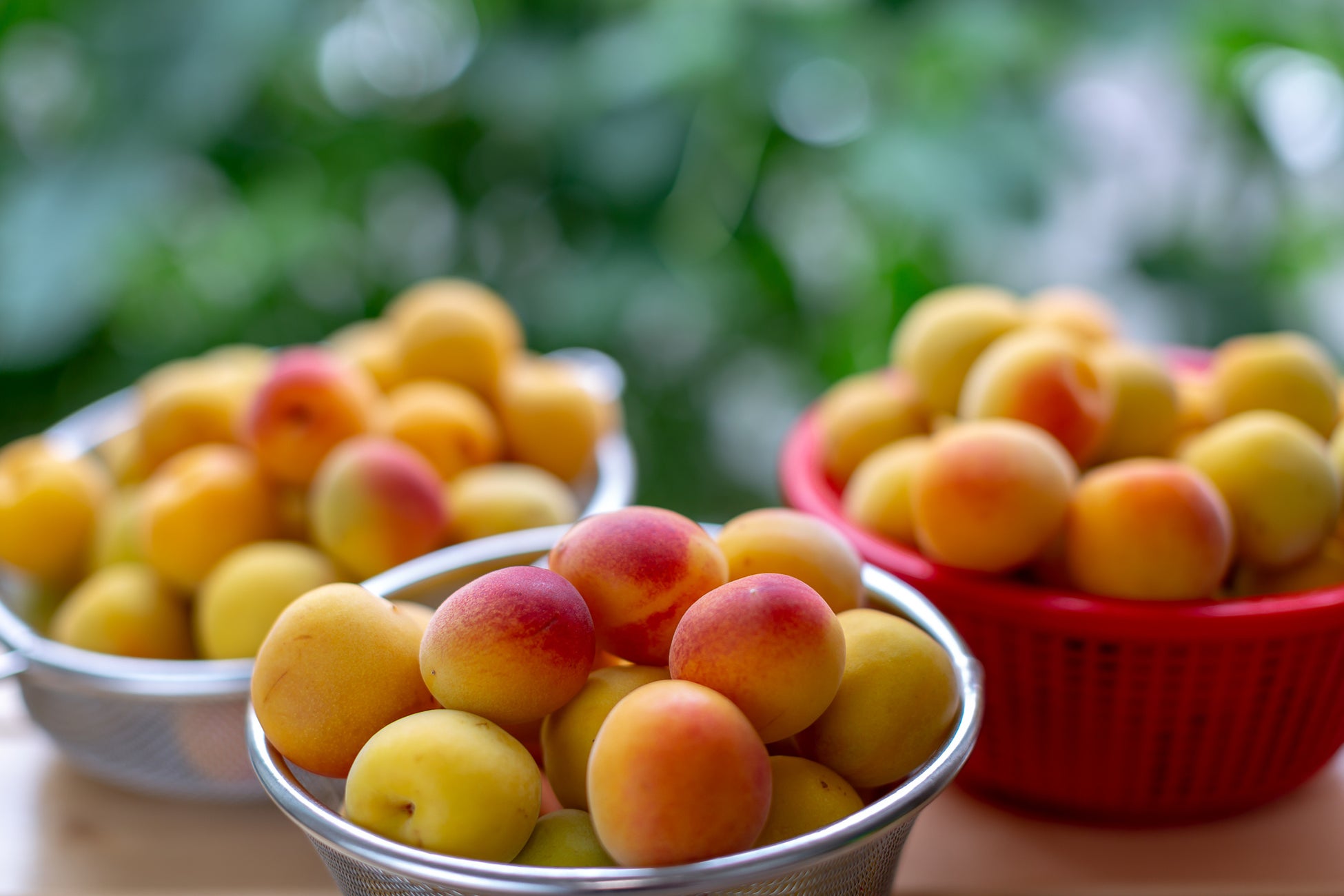 ベビースターラーメンのテーマパーク“おやつタウン”新アトラクション「超ドデカイブタメンくんアドベンチャー」完成披露記者発表会　レポート