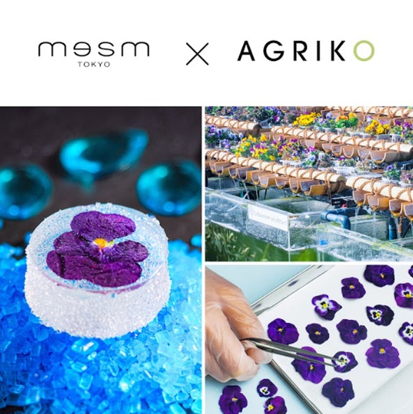 プロ野球開幕直前！球場グルメを日本橋三越本店で楽しめる「スタジアムグルメフェス」にみずほPayPayドームのグルメが登場！