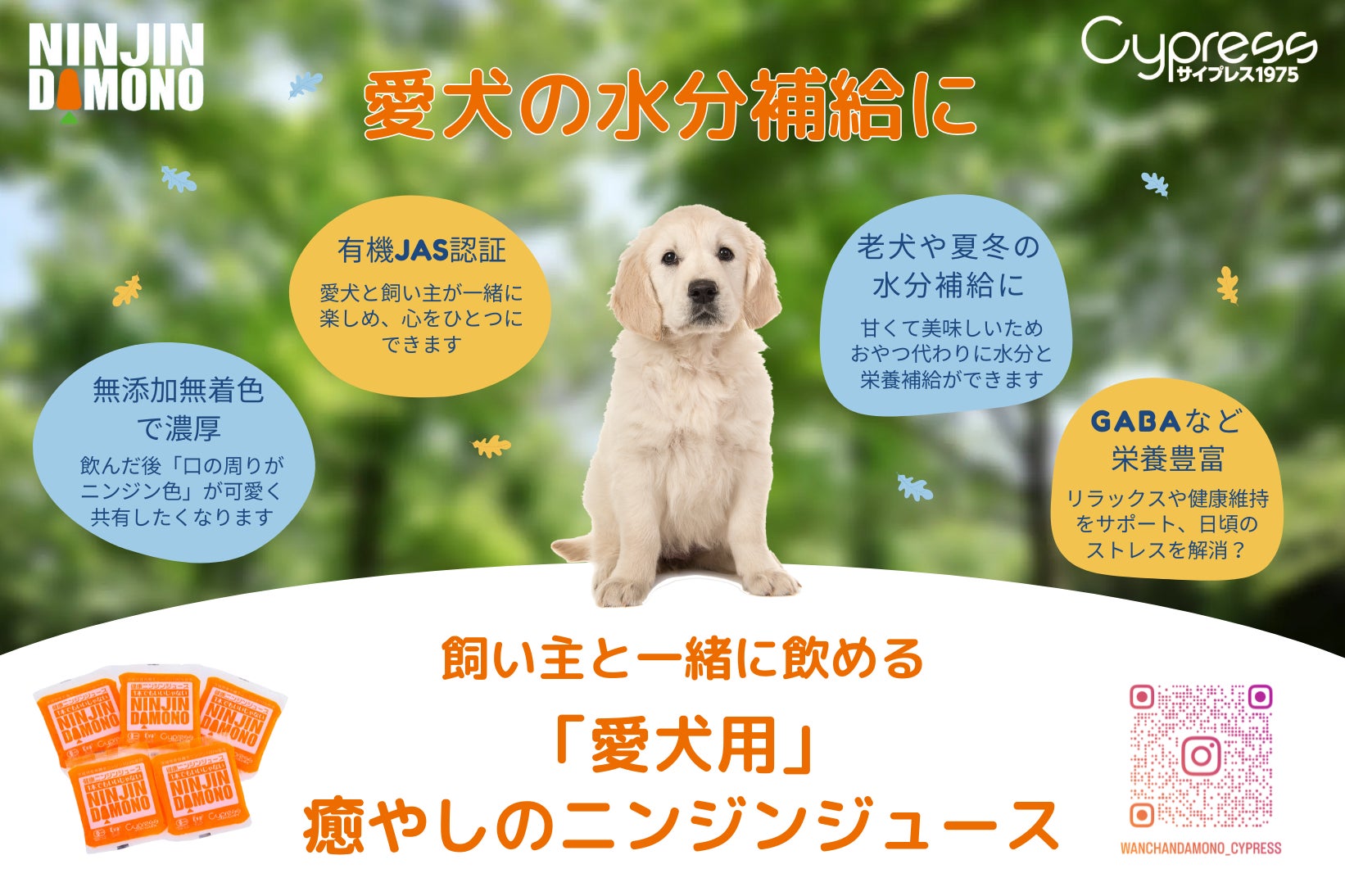 社員食堂人気NO.1メニュー「よしもとカレー」が棒ラーメンに！棒ラーメンでおなじみの「マルタイ」と「吉本興業」のコラボ第２弾！吉本興業の社員食堂「よしもとカレー棒ラーメン」 3月24日（月）発売