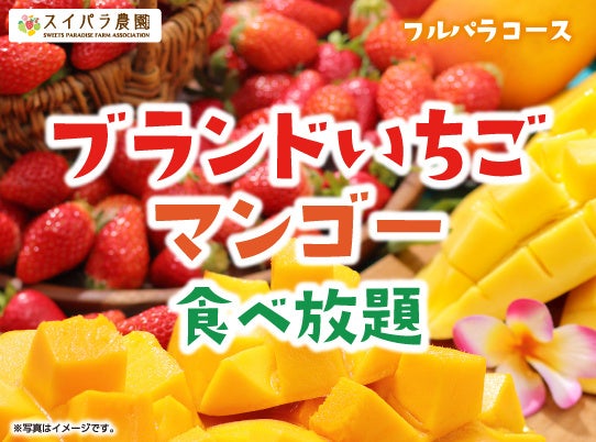 Yorimichi Coffeeの焙煎豆が『高級ナビ』のオンラインサイトで取り扱い開始