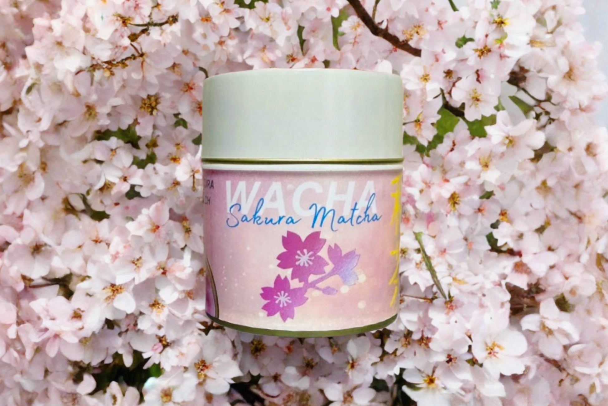 【開始わずか1時間で目標達成】創業60年の和菓子屋より先行発売した和洋折衷の新食感スイーツがmakuakeにて好発進