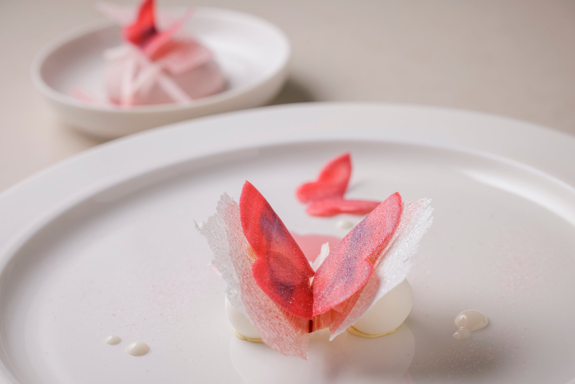 ＜馬肉×韓国＞馬ギョプサルにヤンニョムホース！女性必見の韓国フェアを2025年4月より実施！【大衆馬肉酒場 馬王 十三店】