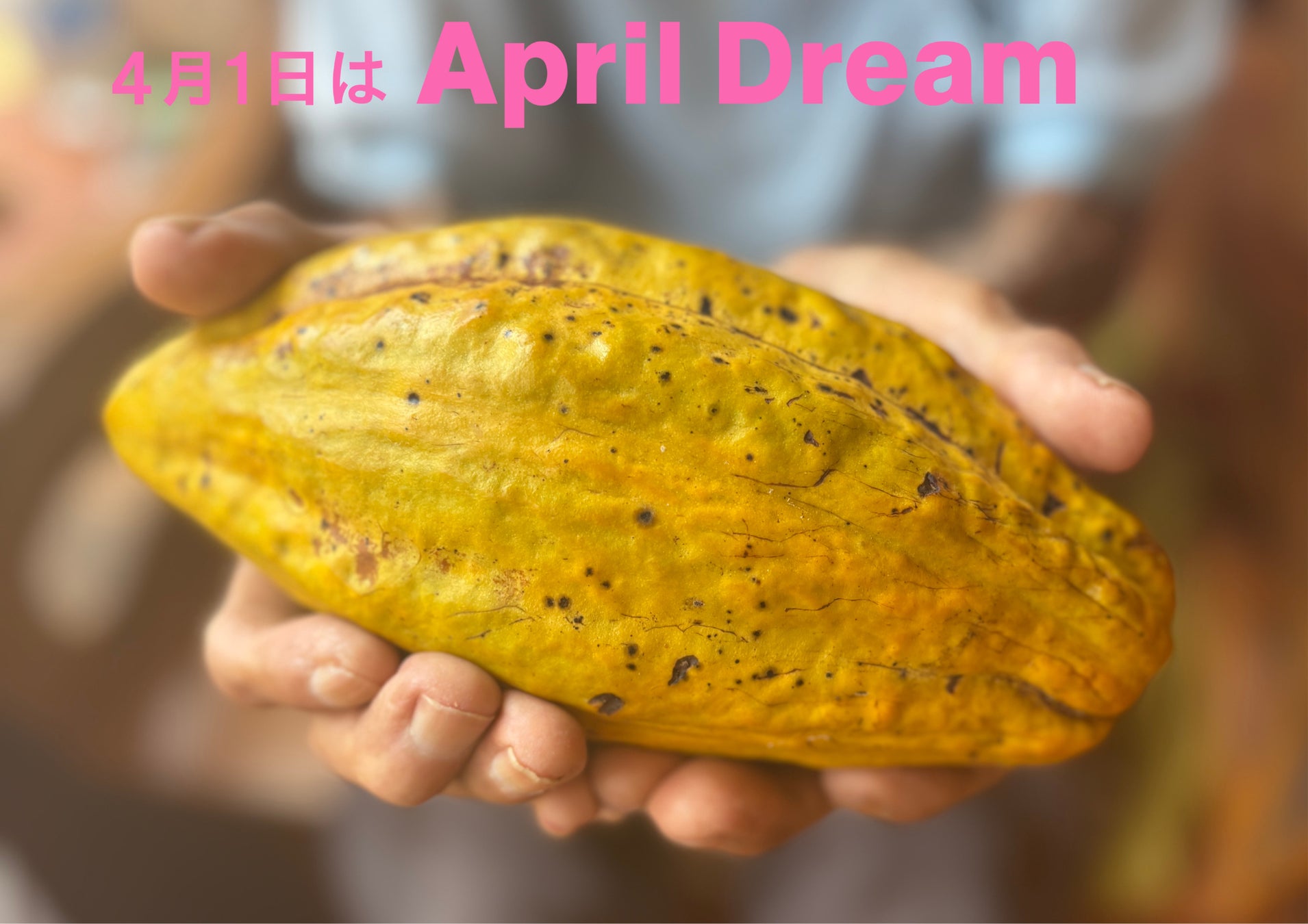 【April Dream】沖縄タコスを世界へ広めたい!