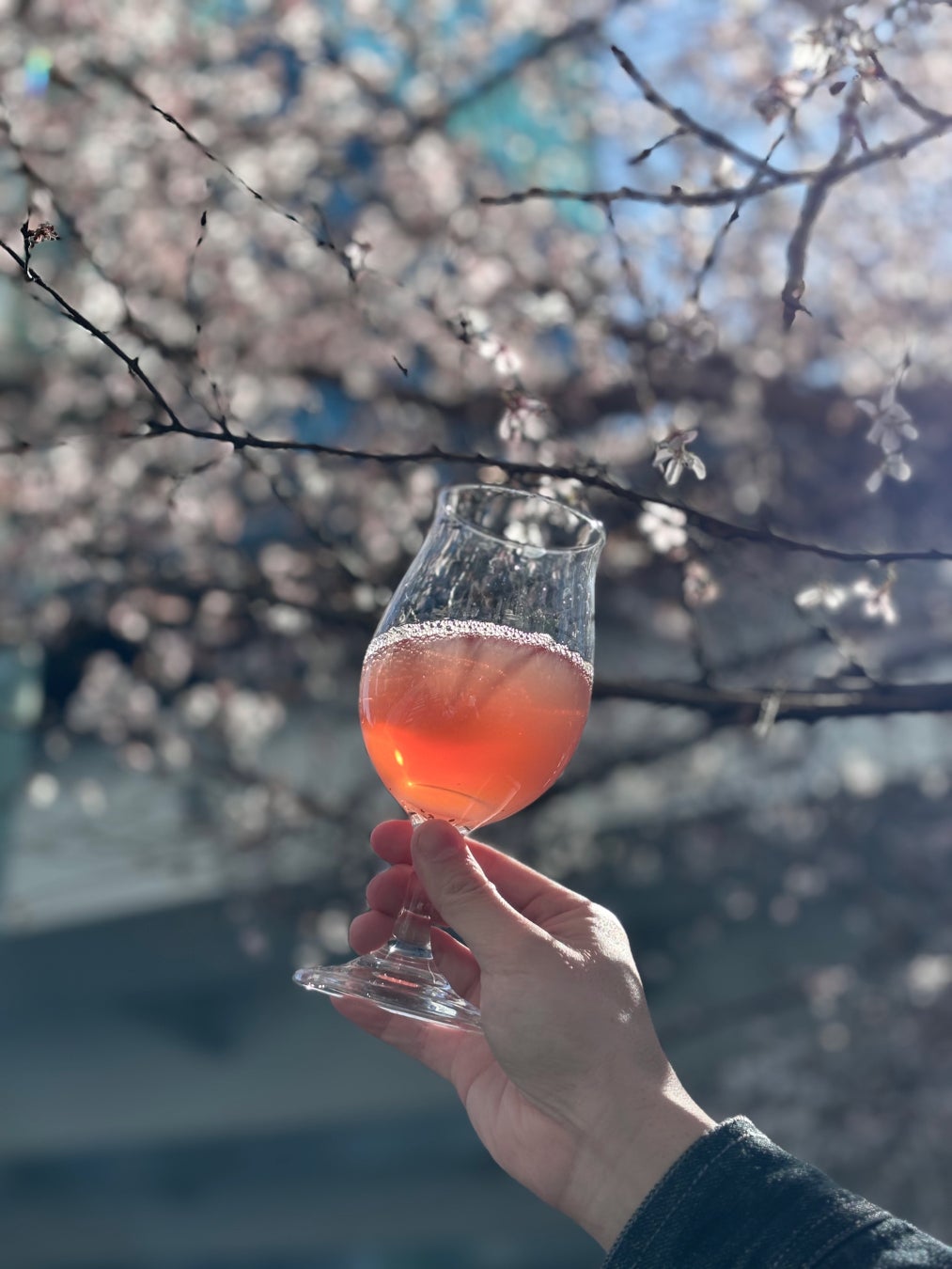 揚げたてバニラフレンチクルーラー9種を実演販売！バニラスイーツ専門店『Hugh Morgan』4/16より銀座三越に期間限定出店