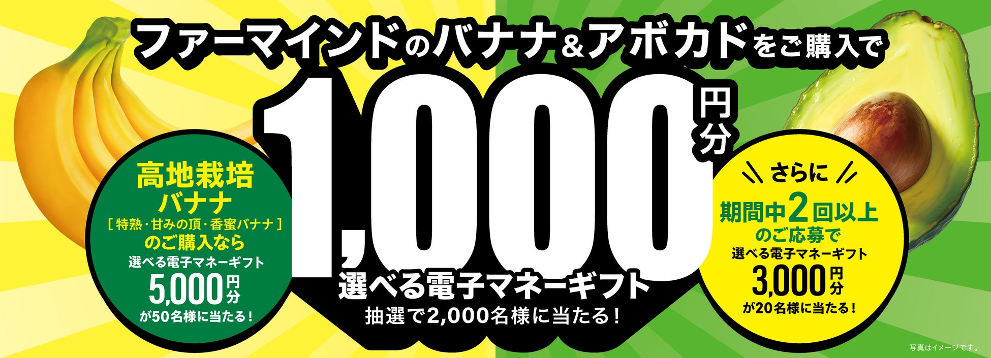 デイブレイク、「FABEX 2025」に出展。人手不足や国内外の販路拡大に貢献する特殊冷凍機「アートロックフリーザー」を披露