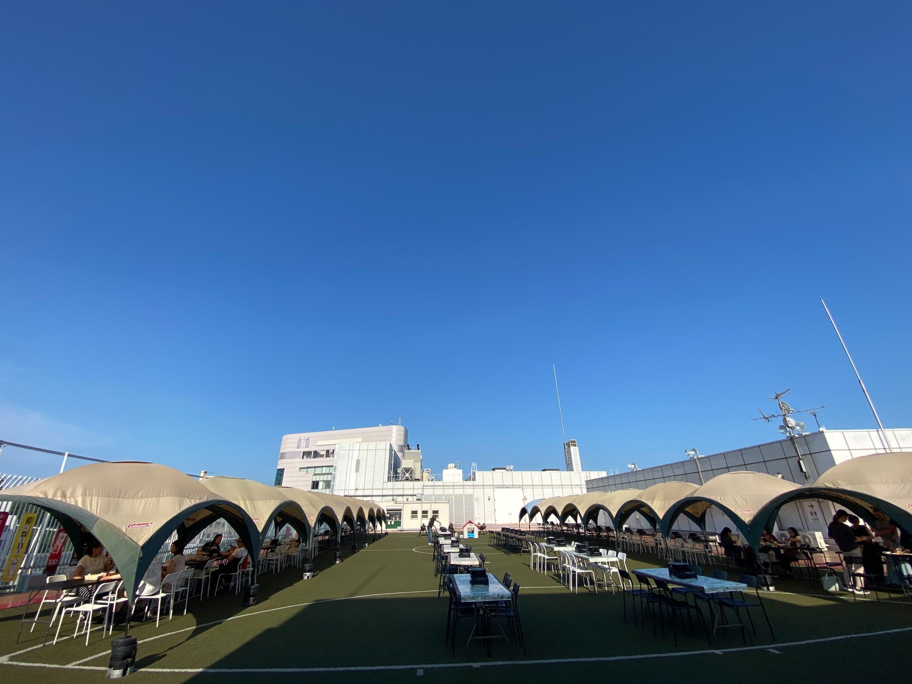 【宮崎県】有機JAS取得の茶園が茶畑の生態系を守る持続可能な新ブランド「茶畑めぐり」を発表