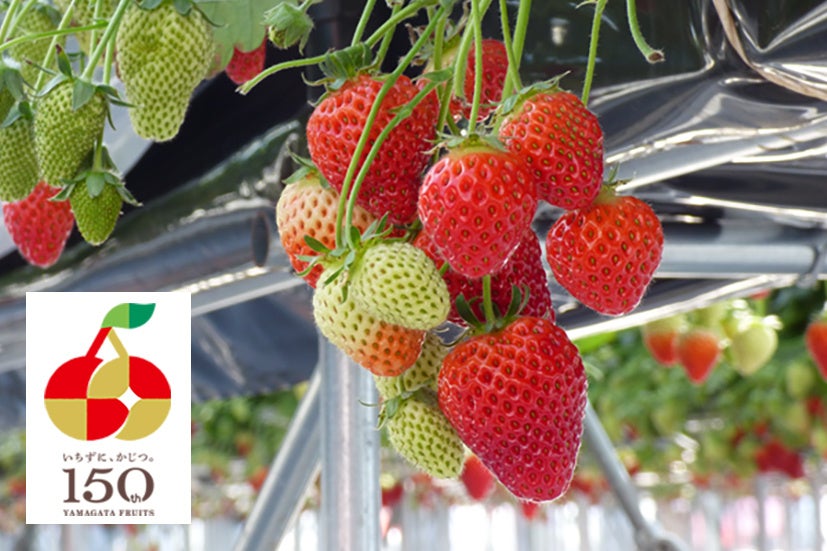 3日間限定で”やわらか半額大感謝祭”を開催。「埼玉県お土産プロジェクト」総合グランプリ受賞を記念して各店舗で実施いたします。