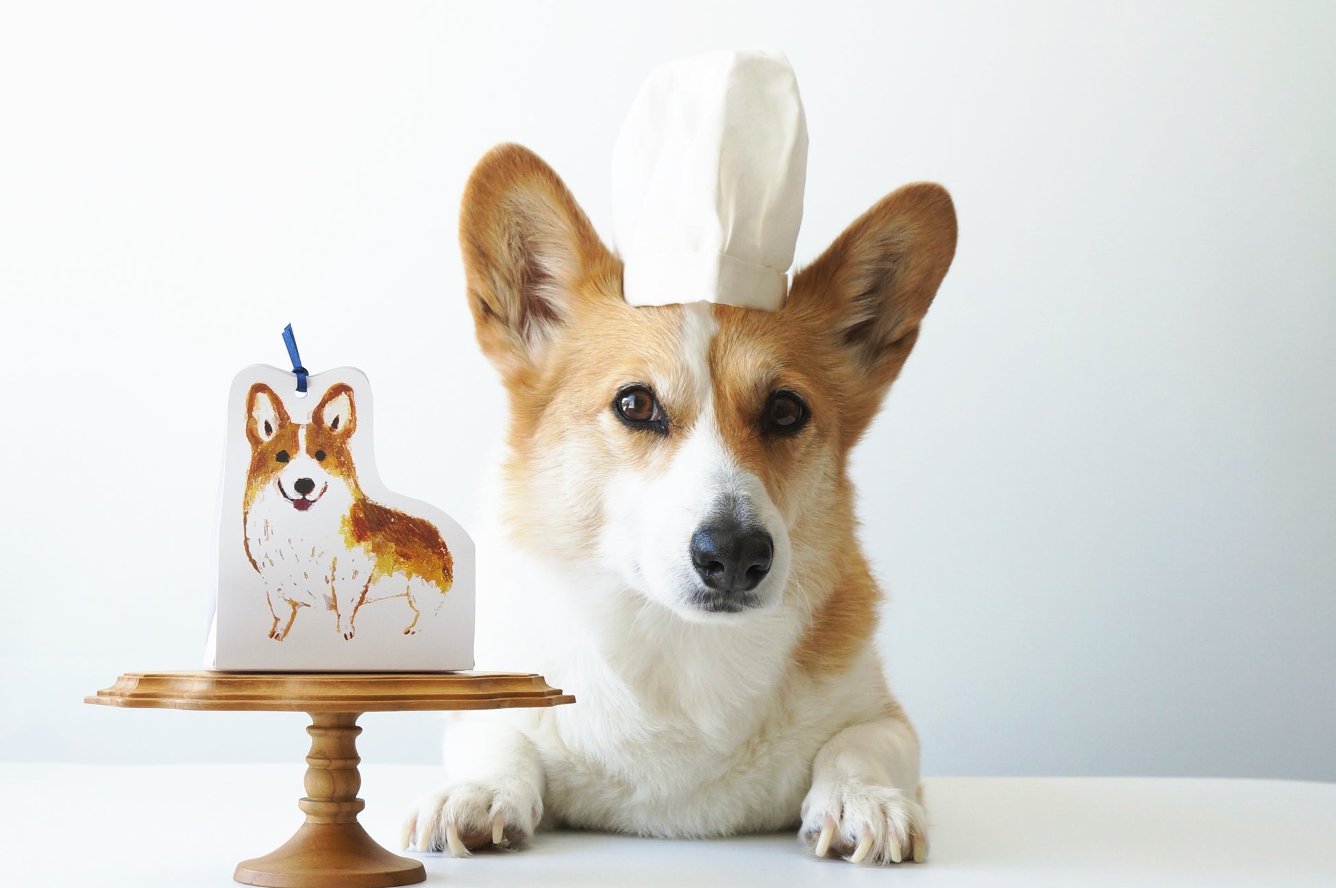 2025年大阪・関西万博「大阪のれんめぐり〜食と祭EXPO〜」大阪王将ブースに「I-Robo2」導入