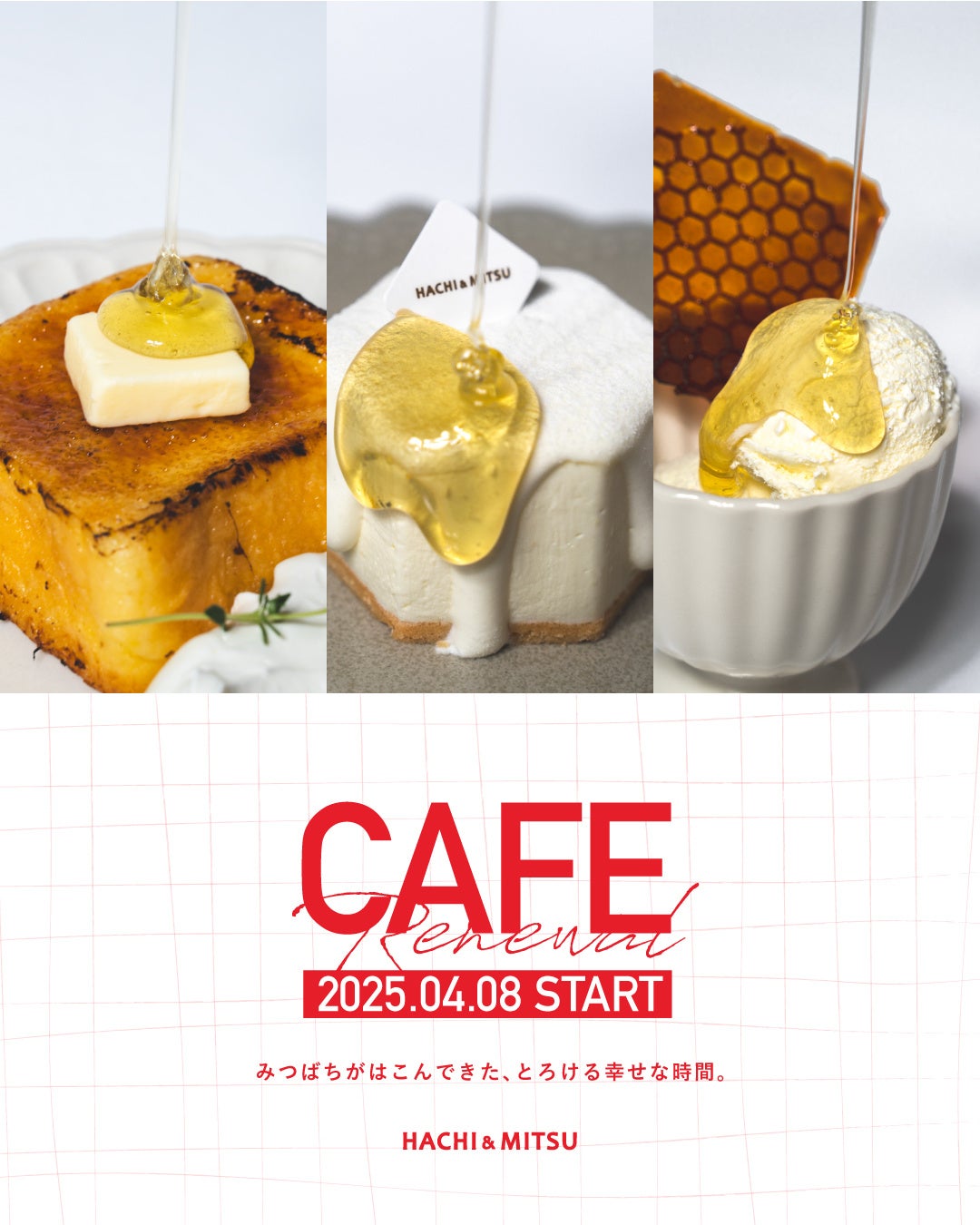 低分子化された水溶性食物繊維β-グルカンを含むオーツミルクには 空腹感の抑制効果があることを確認