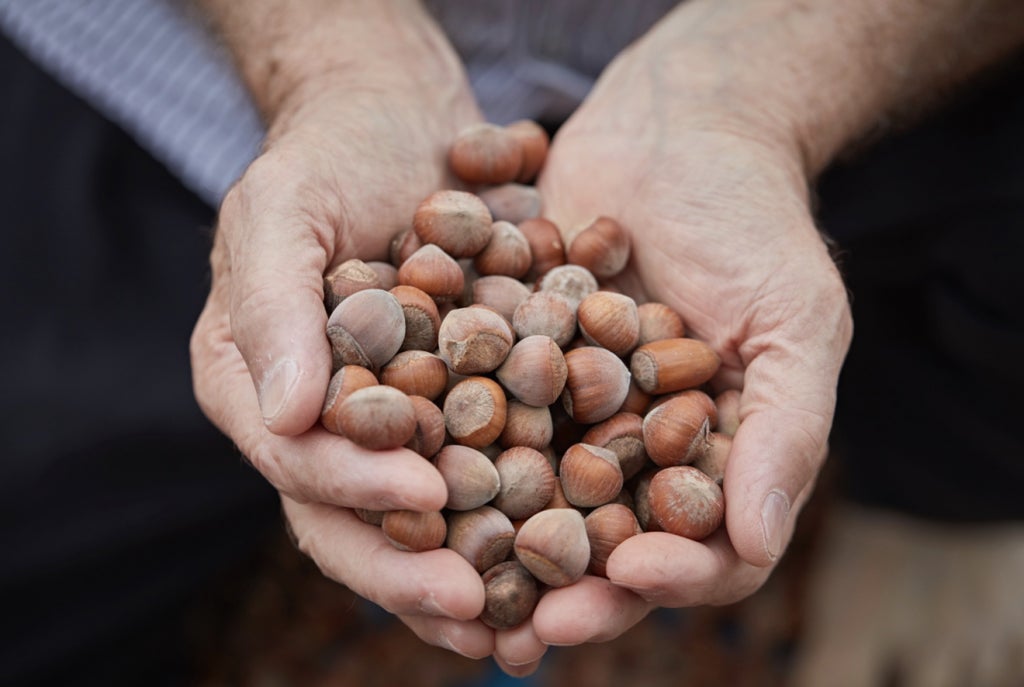 《金賞受賞》サンクゼールのブランデーが国際ワインコンクールにて金賞を受賞！【サンクゼール】