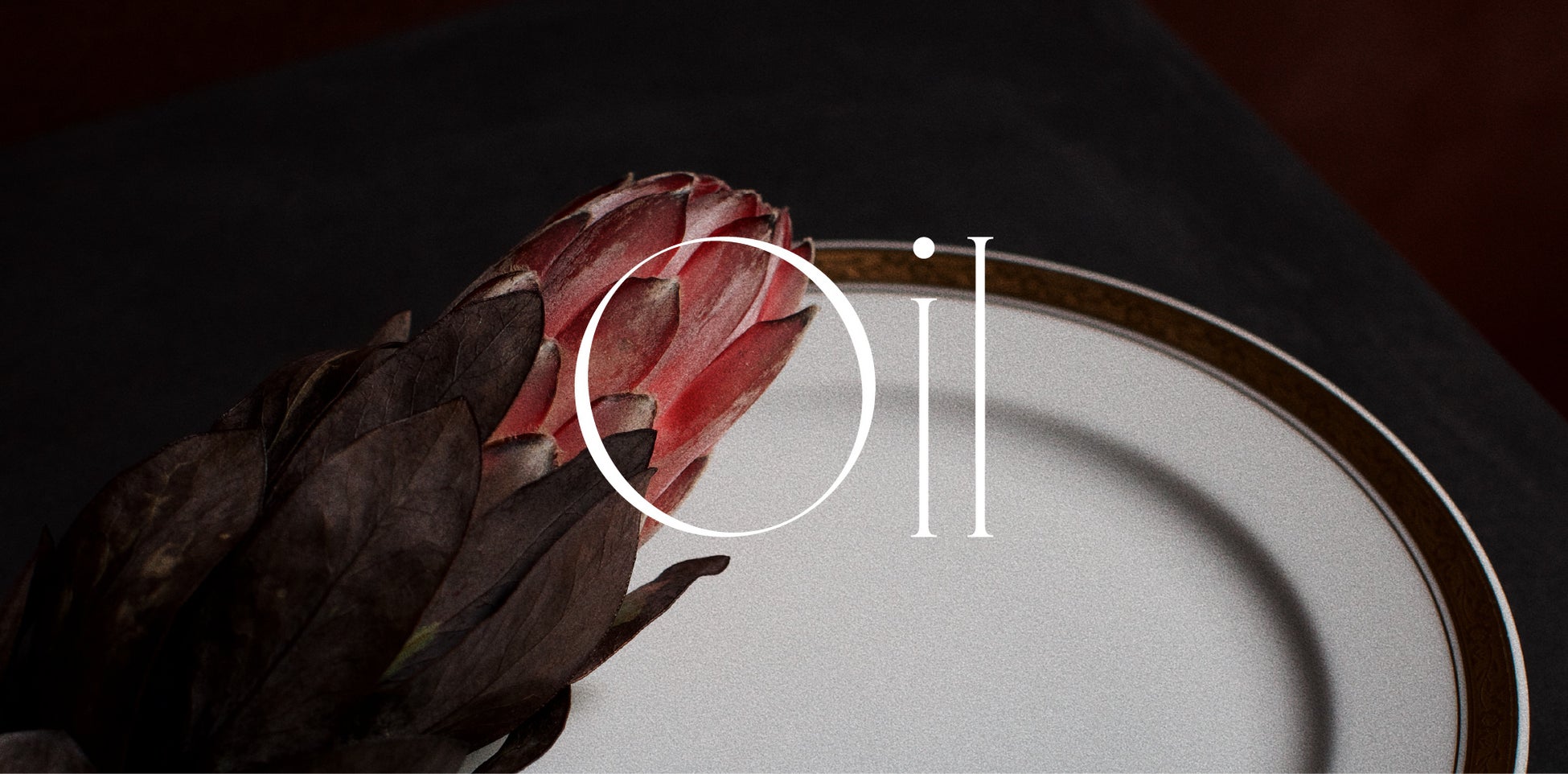 たらればポーカー【誰でも気軽に始められる!ポーカー講習会】大人も子どもも楽しめる!