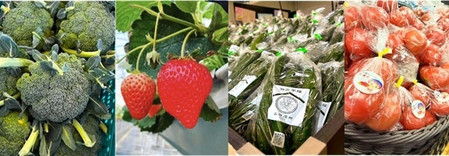 長場雄さんと手を組み 「生茶 LIFE&TEAアクション」をスタート！キリン 生茶×アーティスト・長場雄がコラボレーション