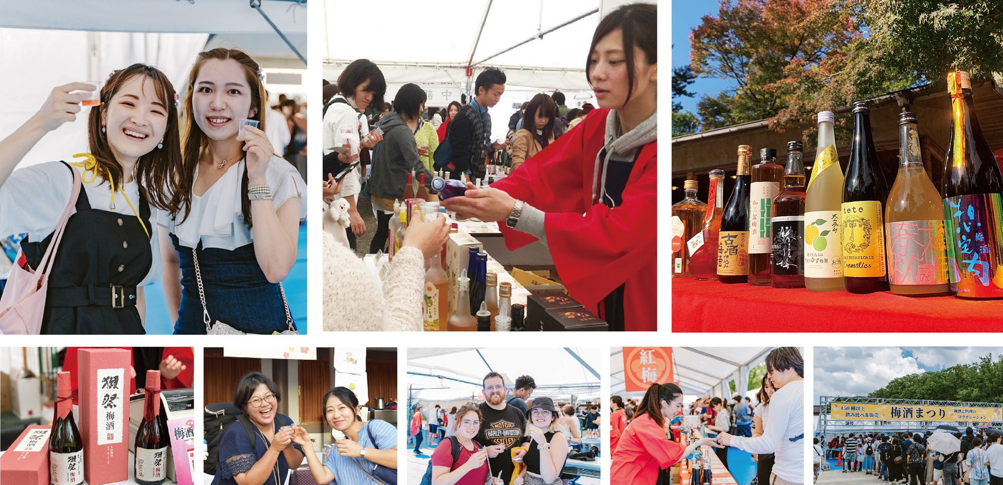 離島の課題解決に向けた商品が今年も登場！新潟県・粟島の青大豆 「一人娘」を使った『miino一人娘 しお味』2025年4月21日（月）より数量限定で順次発売