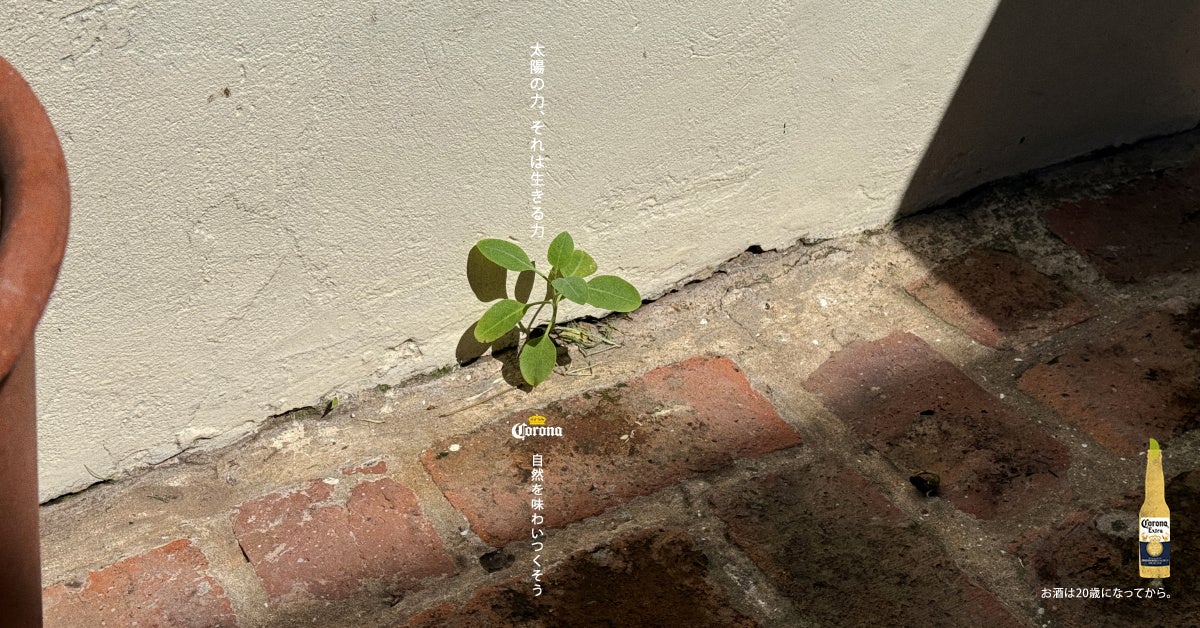 ホテルショップ「ガルガンチュワ」初夏のおすすめ商品