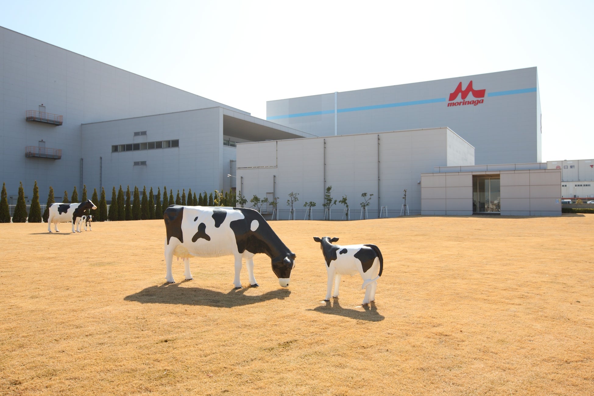 ハイチュウ50周年記念 3つのフルーツ(マンゴー・パイン・キウイ)の味がひと粒に 見た目も楽しい!味の変化も楽しい!トロピカルな夏のハイチュウ「ハイチュウ<南国ミックス>」5月7日(水)より新発売