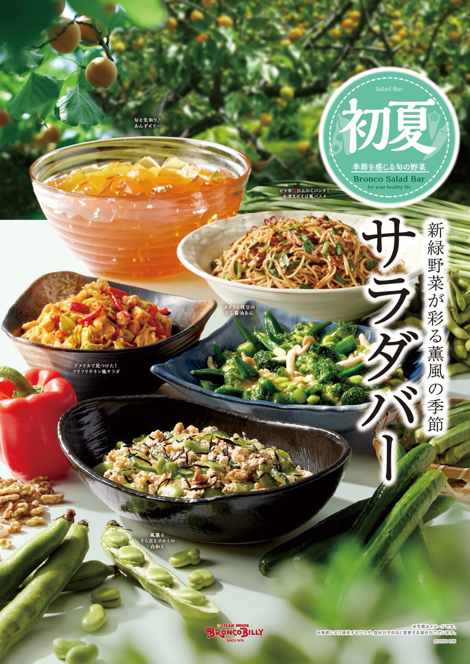 埼玉県深谷市に『九州の肴と旨い酒 肴蔵-Sakagura-』が5月1日にグランドオープン！！