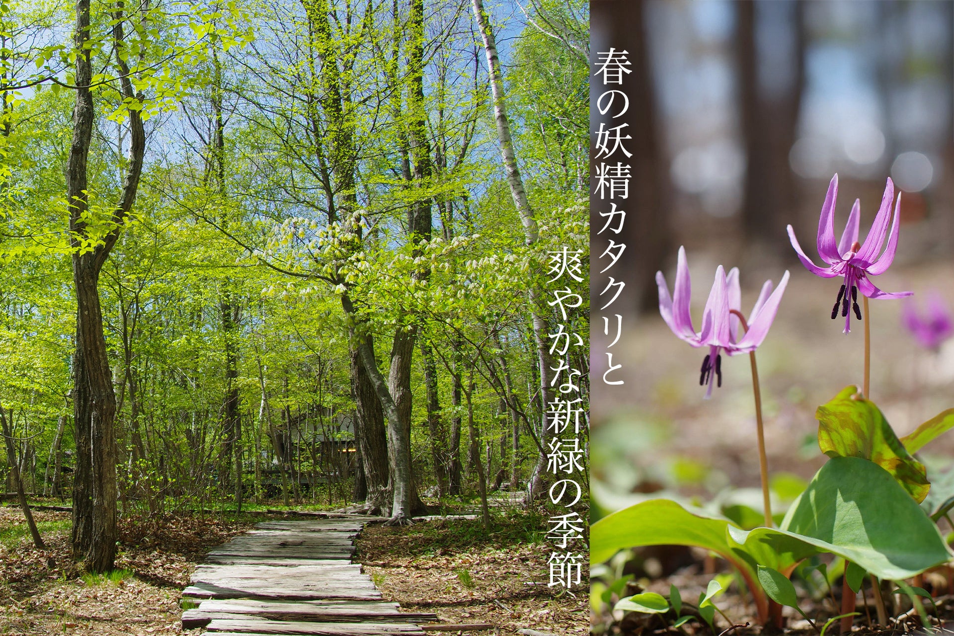 【焼肉の和民】毎月恒例の「肉の日」企画。GW期間の4月29日の「ニクの日」は自慢の鹿児島黒毛和牛を使用した「鹿児島和牛カルビ」と「鹿児島和牛ロース」を29%OFFで提供します!!