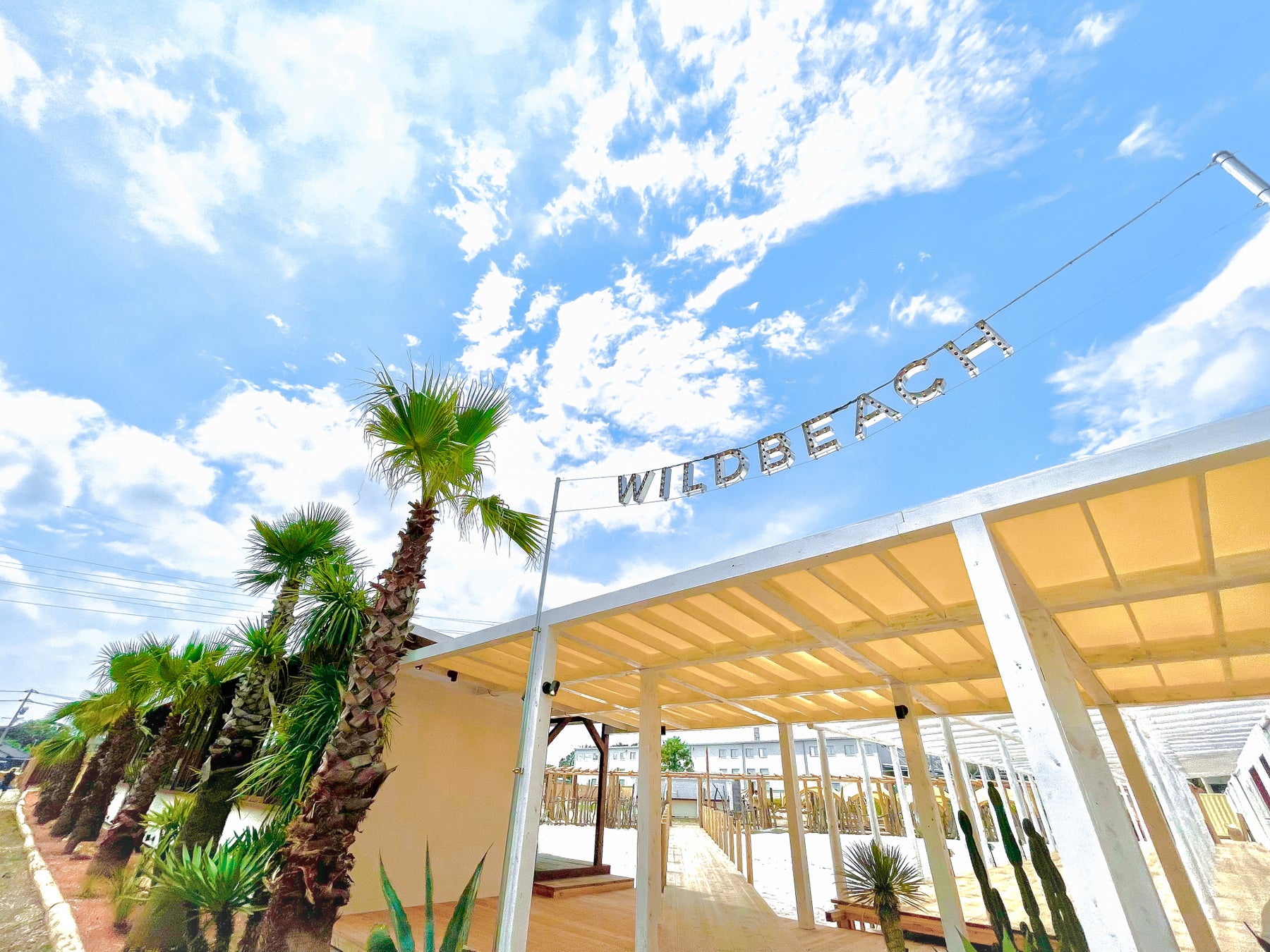 一石三鳥グループ姉妹ブランド「鮨処 乾杯」 4月25日オープン