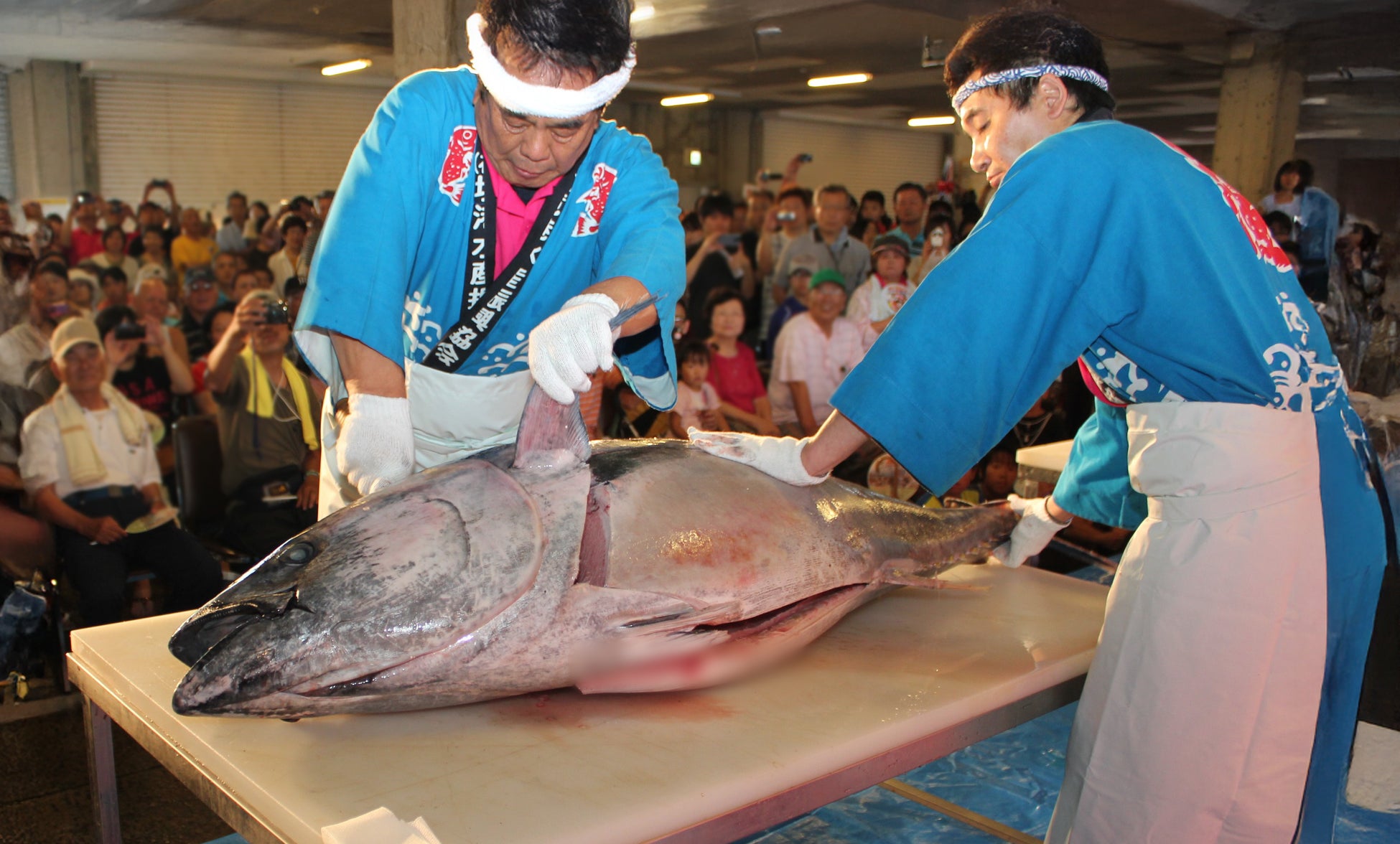 夏季限定の“和風かき氷”が、抹茶感をアップし初のリニューアル!『やわもちアイス 抹茶氷』 5月12日(月)より季節限定発売