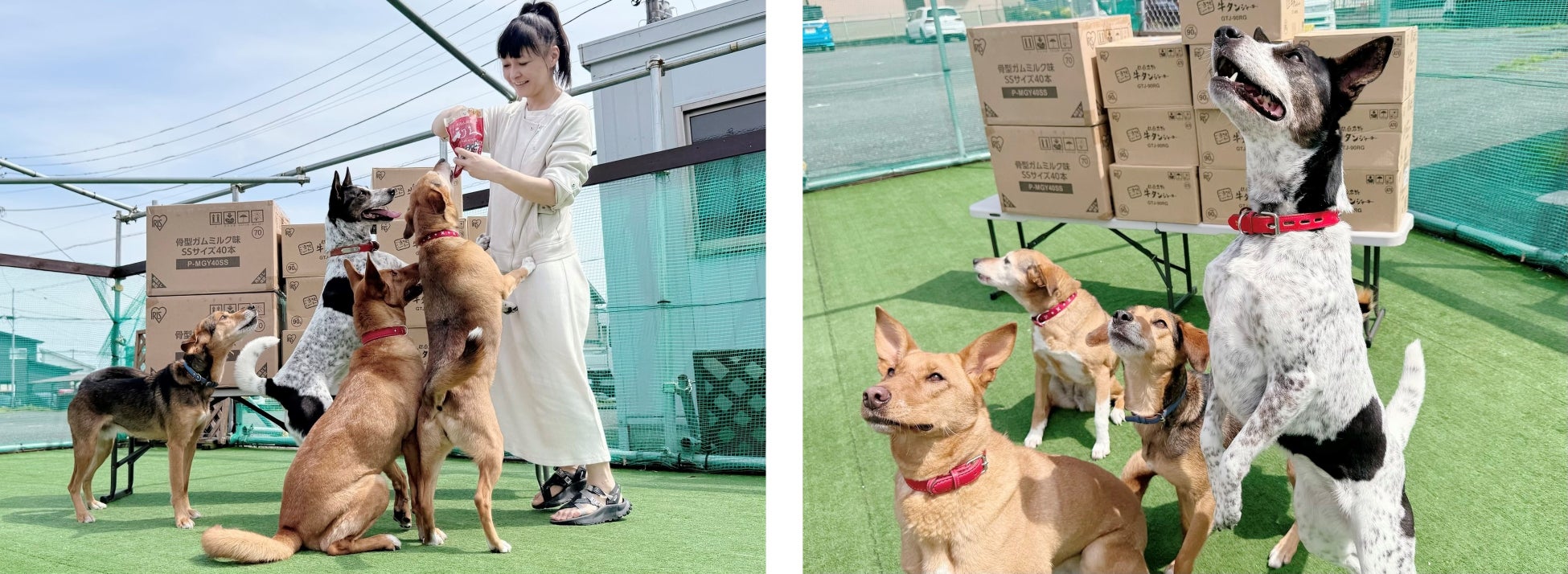 家庭料理テイクアウトの「マチルダ」、石井食品株式会社と食材仕入れなどで提携を開始