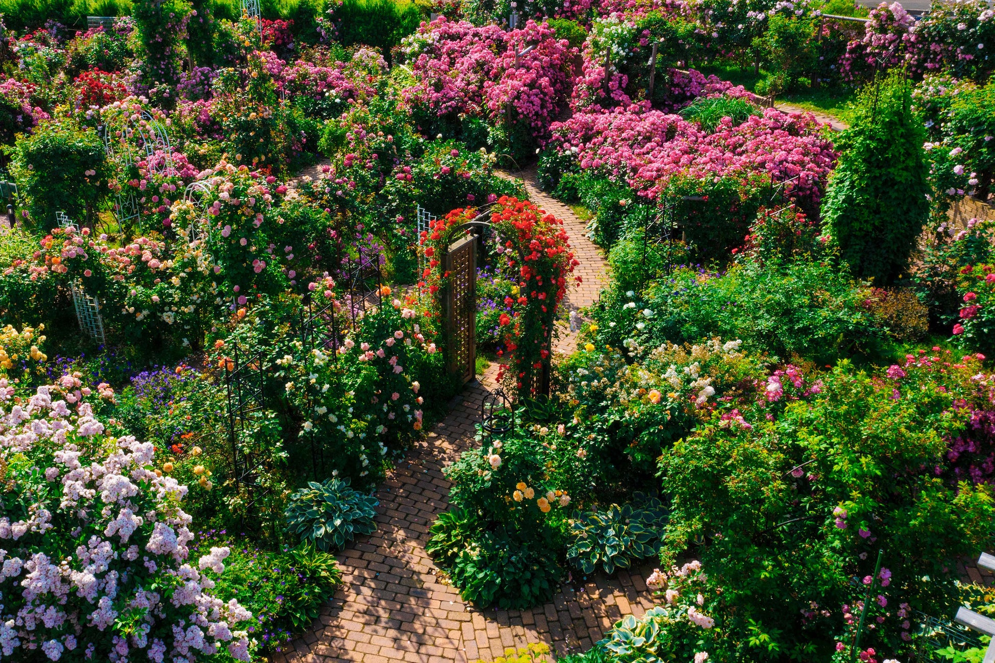 KIDS SNACK LAB、新ブランド「GOONA（グーナ）」をローンチ