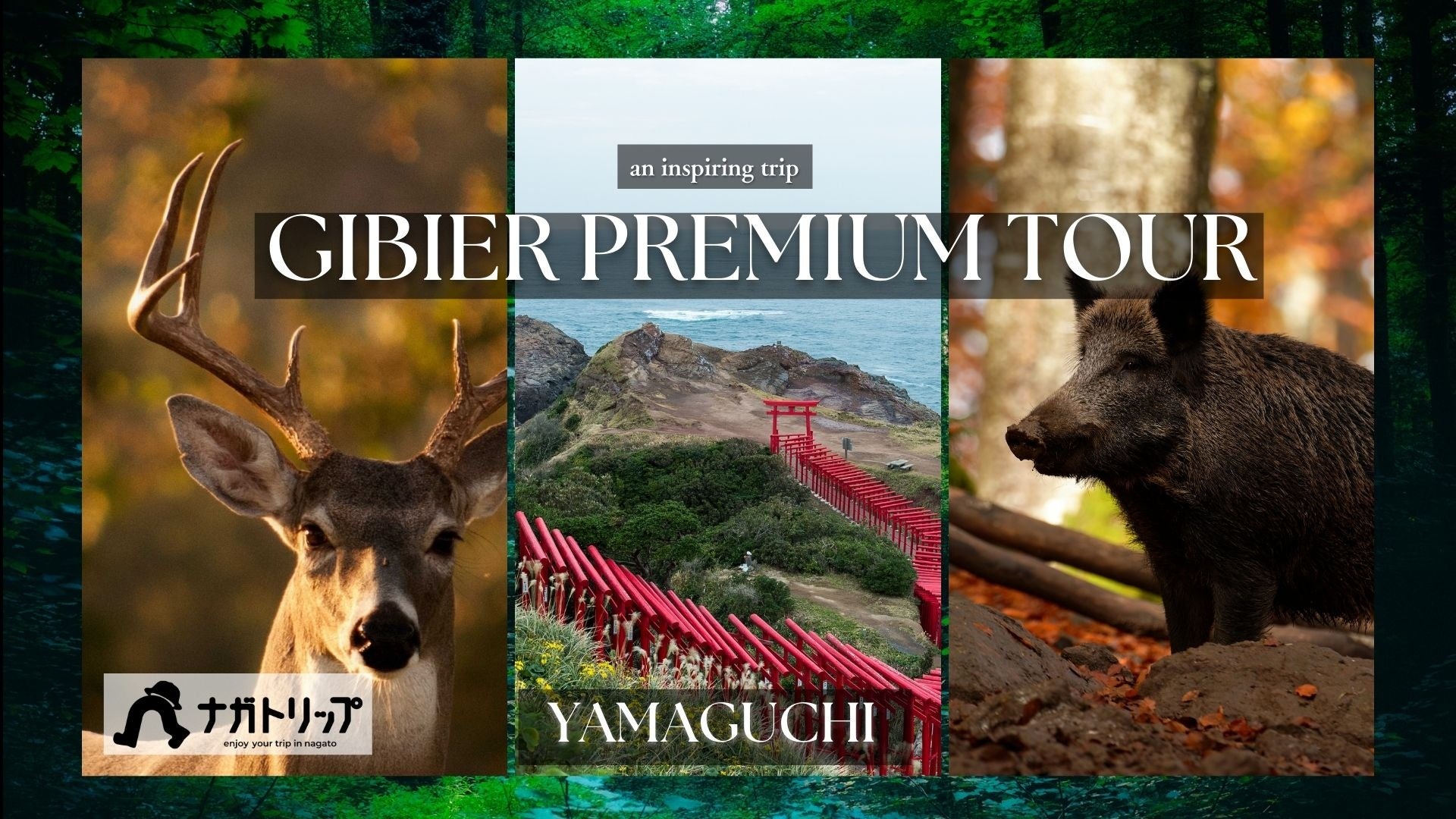 5月24日は「菌活の日」！毎年大好評の「毎日当たる！カウントダウンキャンペーン」開催！今年は10年目を記念し「当選数2倍 !?」「まとめて当たる!?」チャンスも！