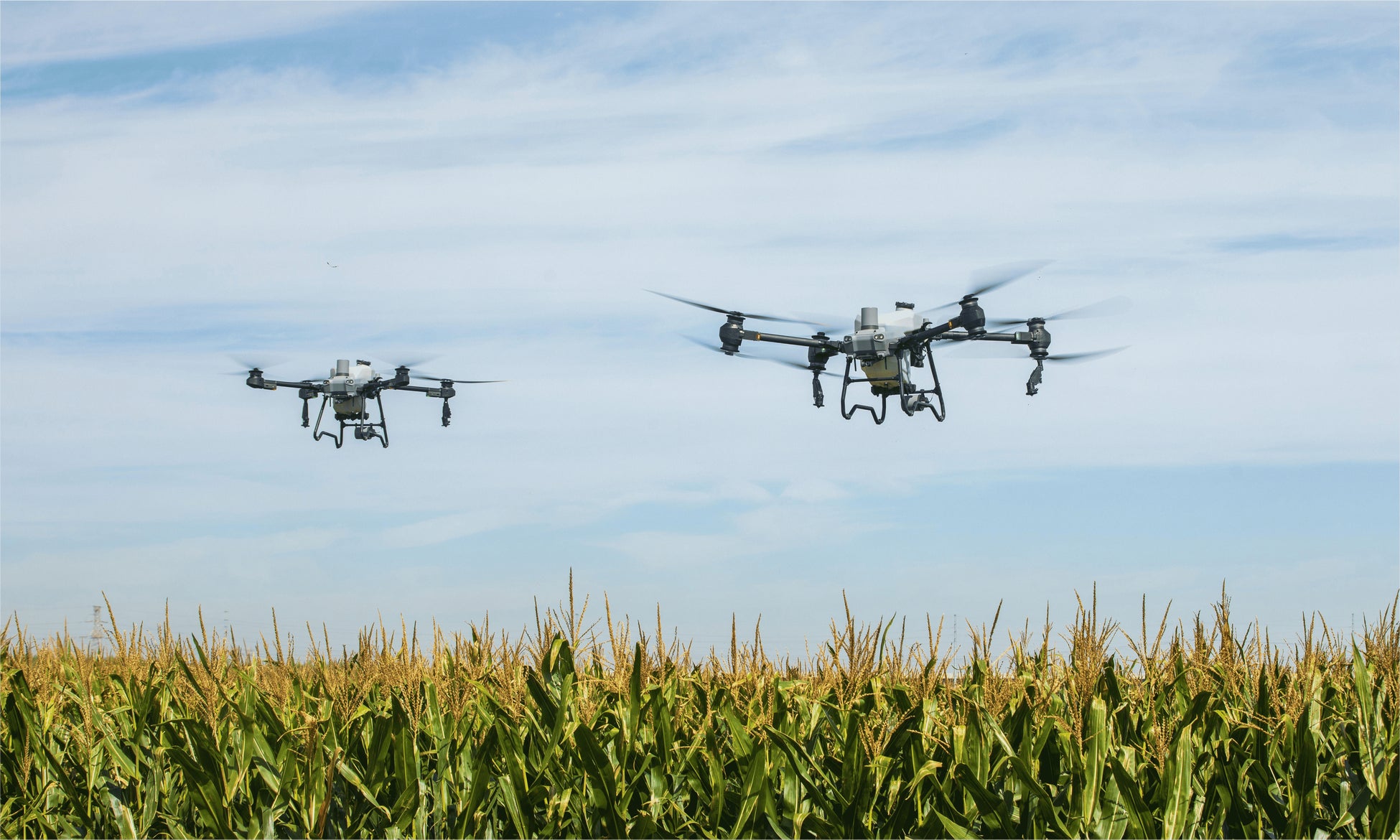 【『ドカ食いダイスキ！もちづきさん』2巻発売記念】禁断のドカ呑みクラフトコーラ「ドカ・コーラ」（3055kcal）が発売決定！