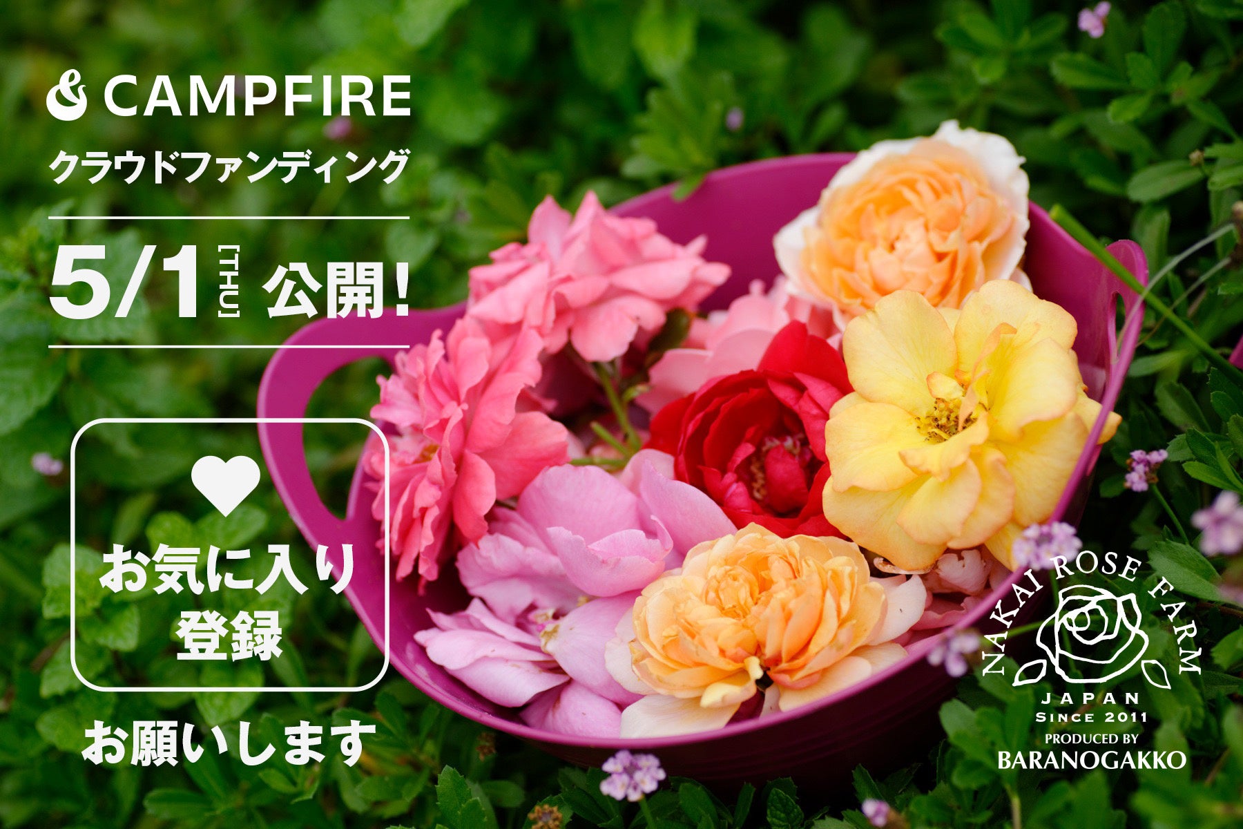 ブラウニー専門店【côte cour（コートクール）】が新たな装いに！ブランドに込めた想いを胸に、より上品に味わいを表現するパッケージへリニューアル！