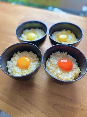 創作寿司と日替わり入荷の地酒を楽しめる！寿司居酒屋『寿司トおでん にのや 新橋汐留店』2025年5月9日(金)港区東新橋にオープン！