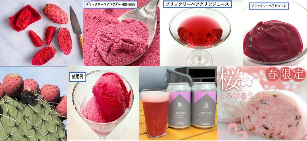 遊んで、整えて、おいしく笑う。ヨガで整う“新しいバランス習慣”を親子で体感！