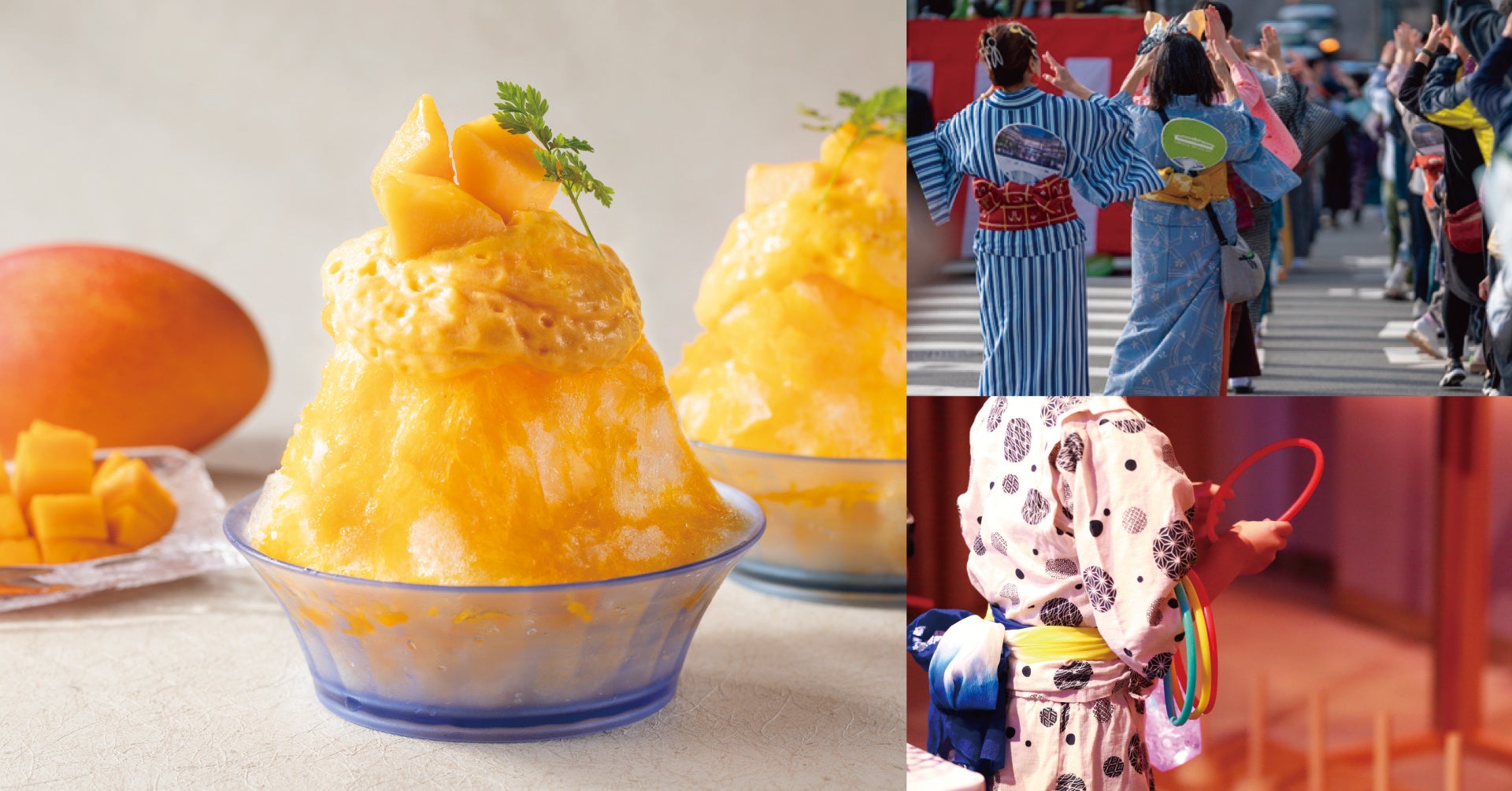 ワインとワインセラーの専門店「セラー専科」にて母の日ギフト特集を開催