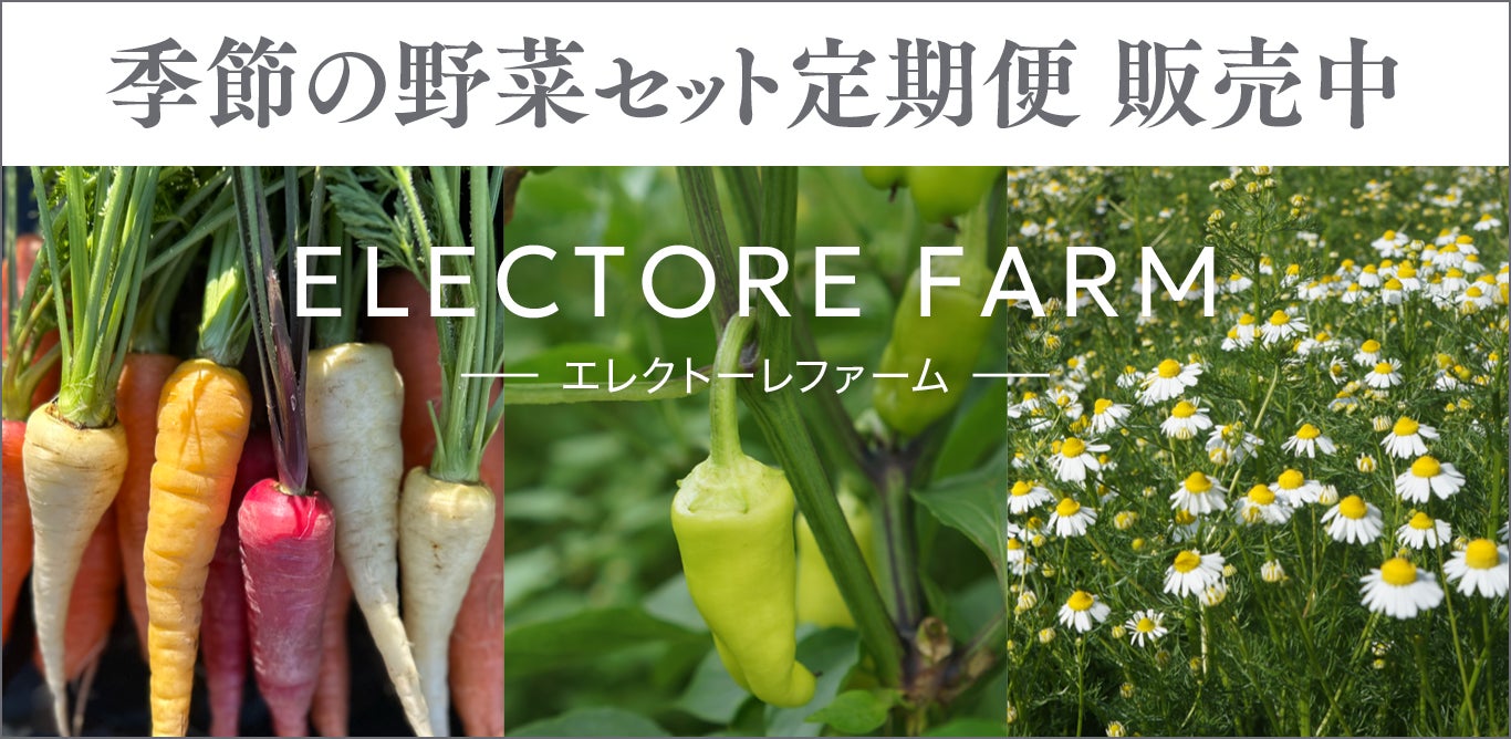 【現在達成率269%】注目の再生ホップ使用ビール醸造プロジェクト 〈Makuake クラウドファンディング5/18まで〉