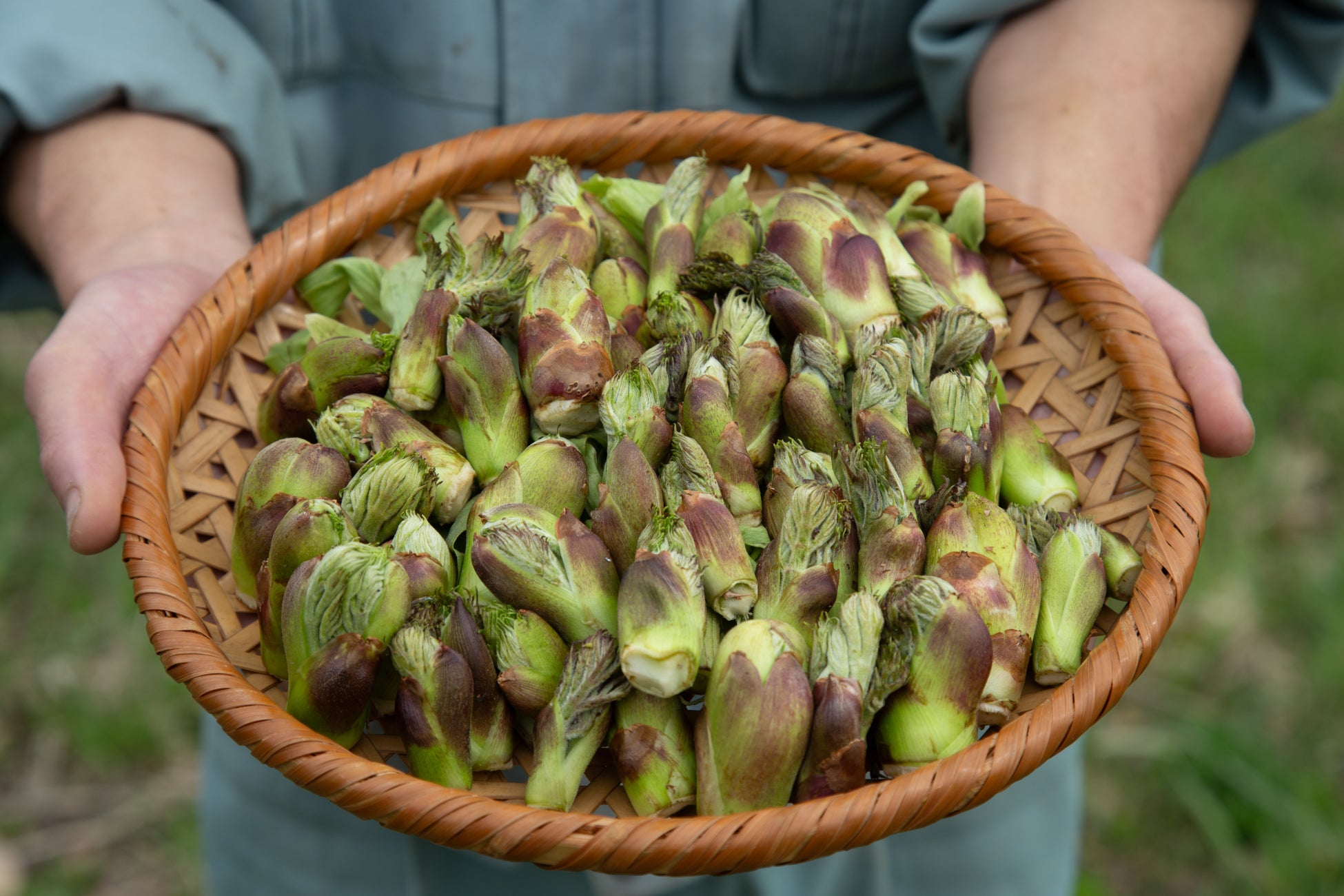 東京土産で人気のピスタチオスイーツ専門店「PISTA & TOKYO」が博多阪急に期間限定出店中。ナッツの女王、ピスタチオの魅力をお届けいたします。