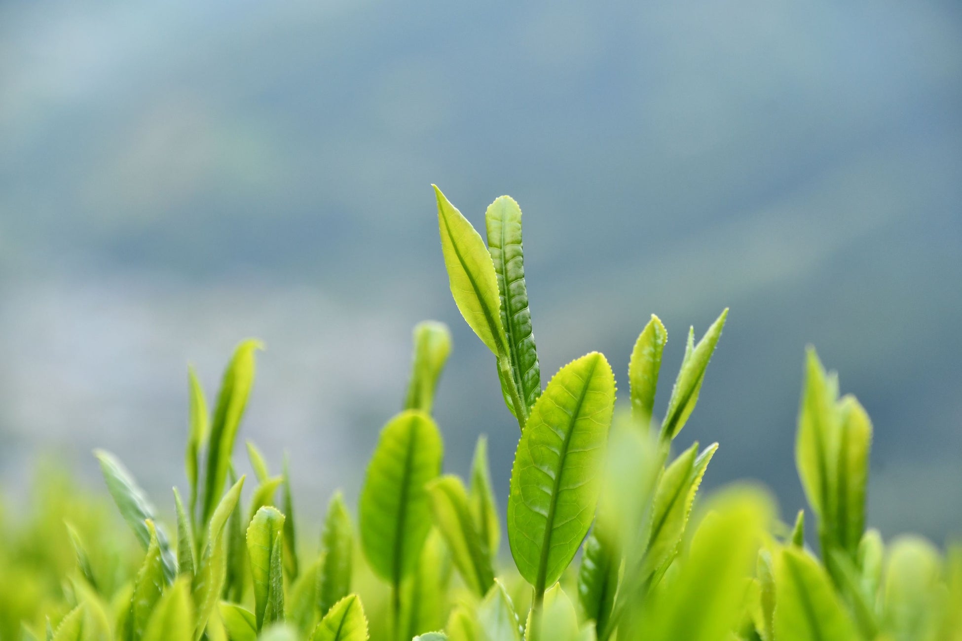 ７年連続のベースアップ等を実施し、平均13.6％の給与水準引き上げを実施