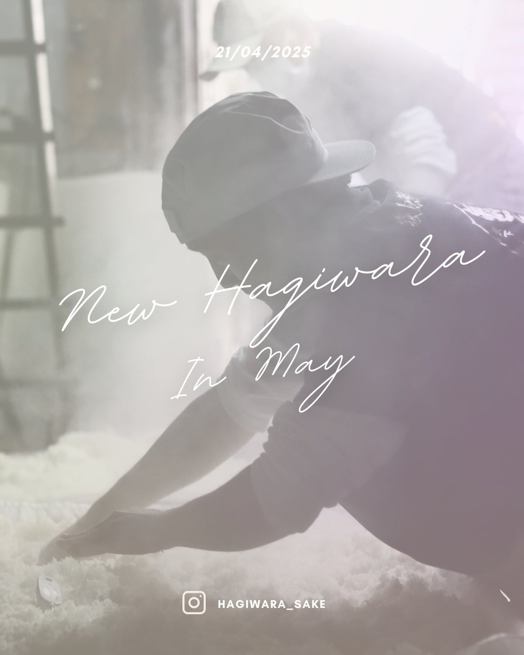 史上最大！今年最後のチャンス！キウイブラザーズのぬいぐるみが3000名様にその場で当たる　キウイのチカラ大発見！栄養クイズ