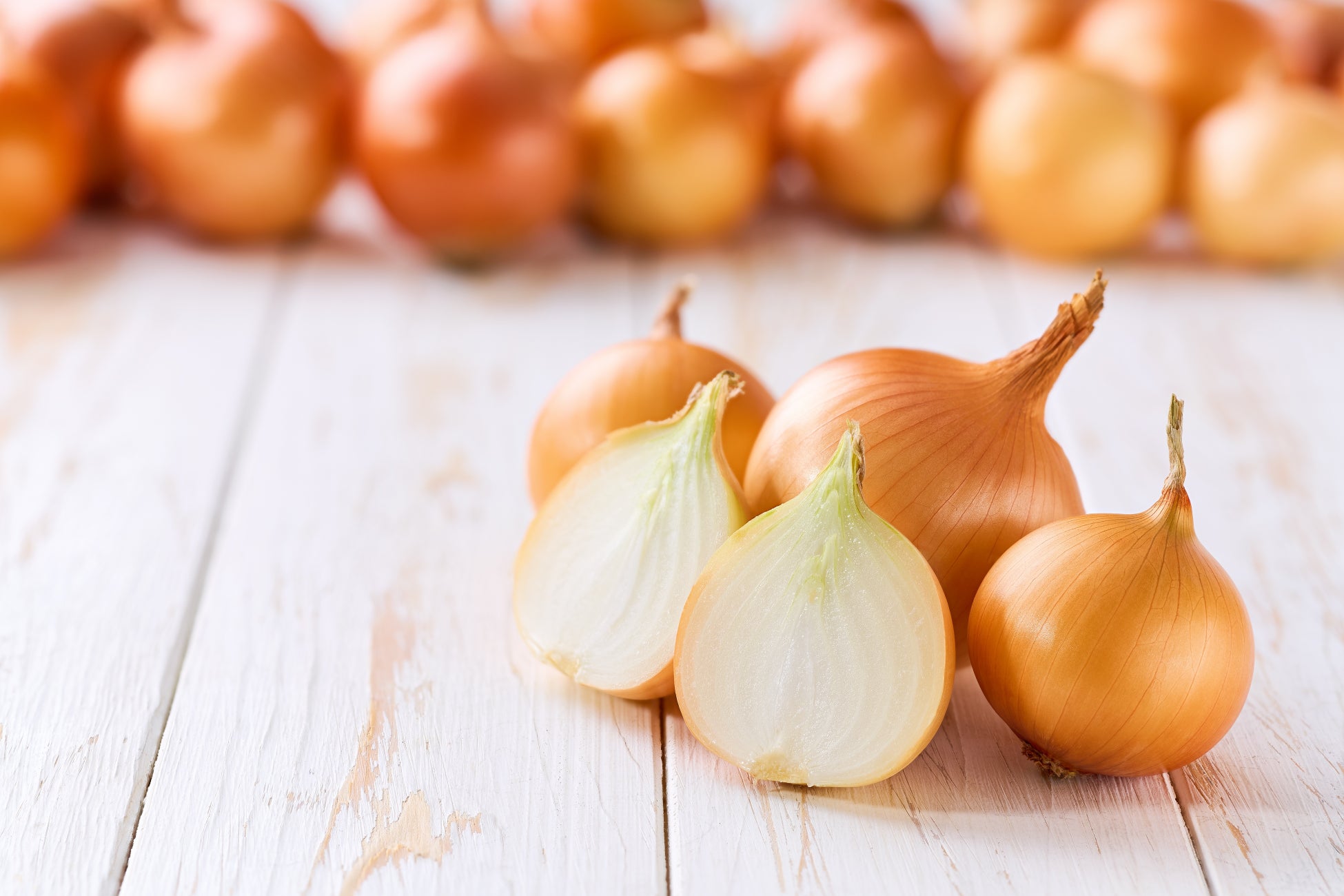 Wismettacフーズが農林水産省「令和6年度サプライチェーン連結強化緊急対策」の補助事業者に採択