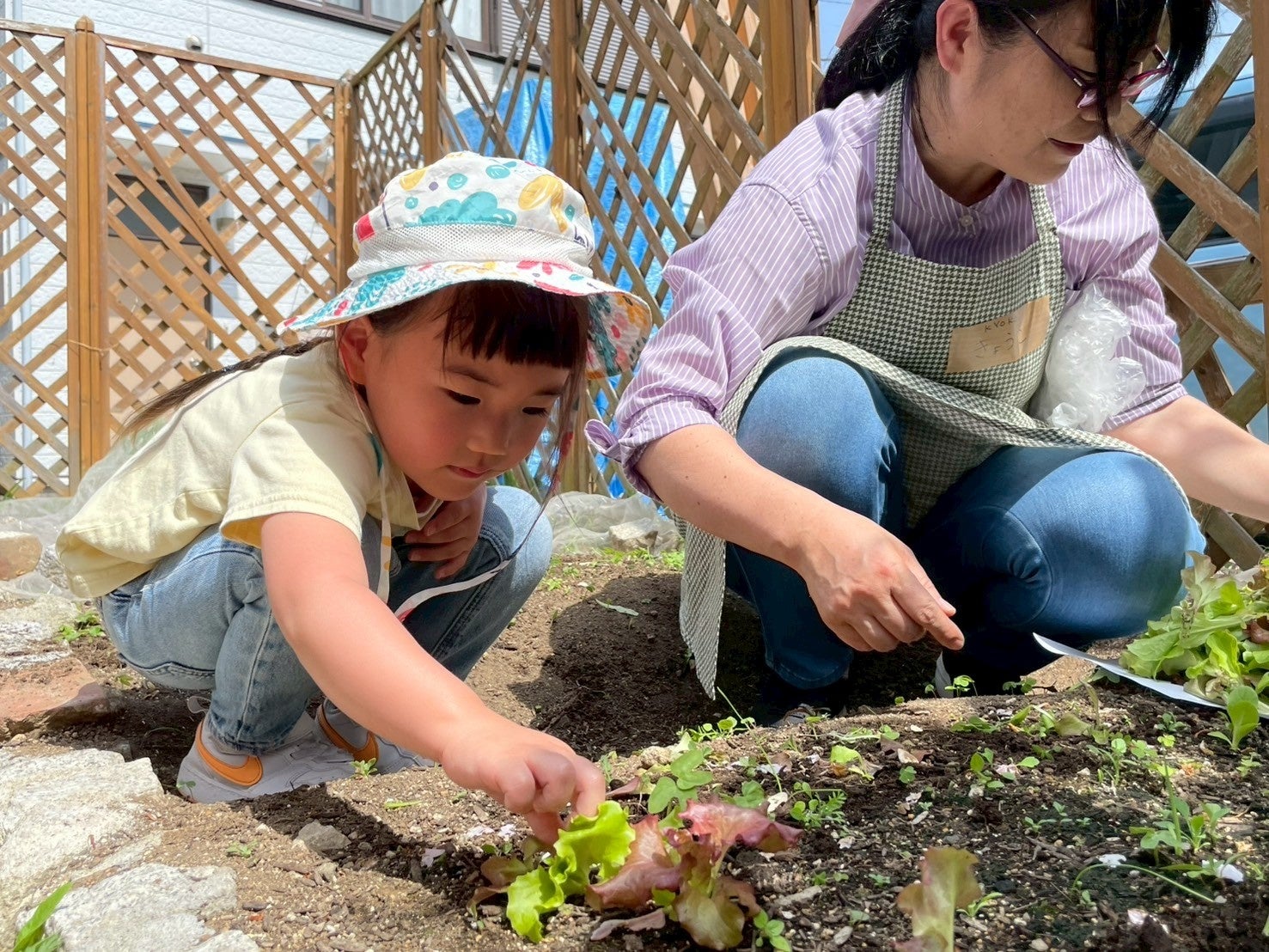 約7万杯を販売した、サステナブルな季節限定アイスコーヒー「エチオピア モカ シャキッソ」が大好評につき2度目の再販決定！ 『珈琲館』と『珈琲館 蔵』にて、5月15日（木）より発売