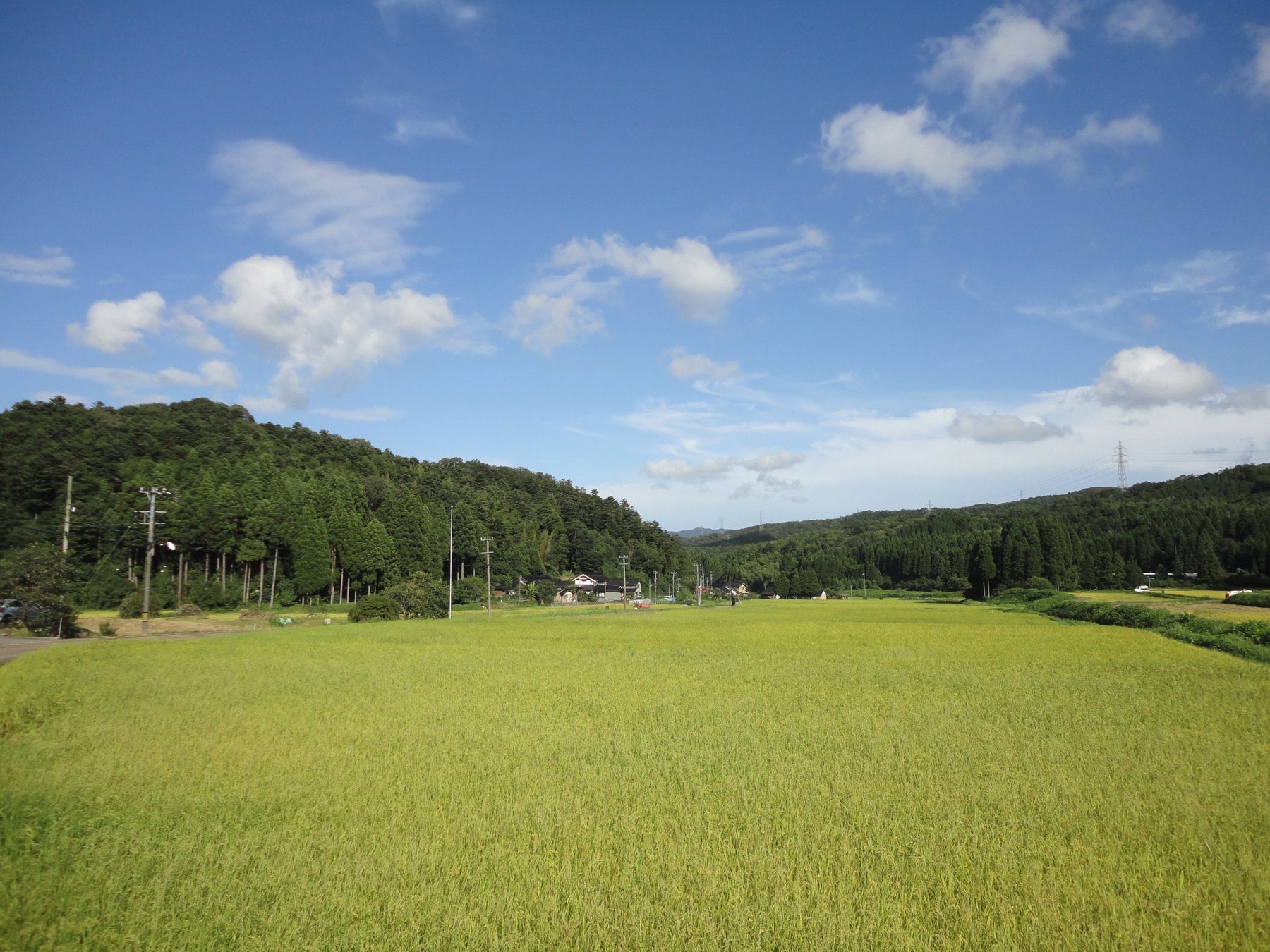 「カゴメ記念館」の公開を5/12(月)より再開