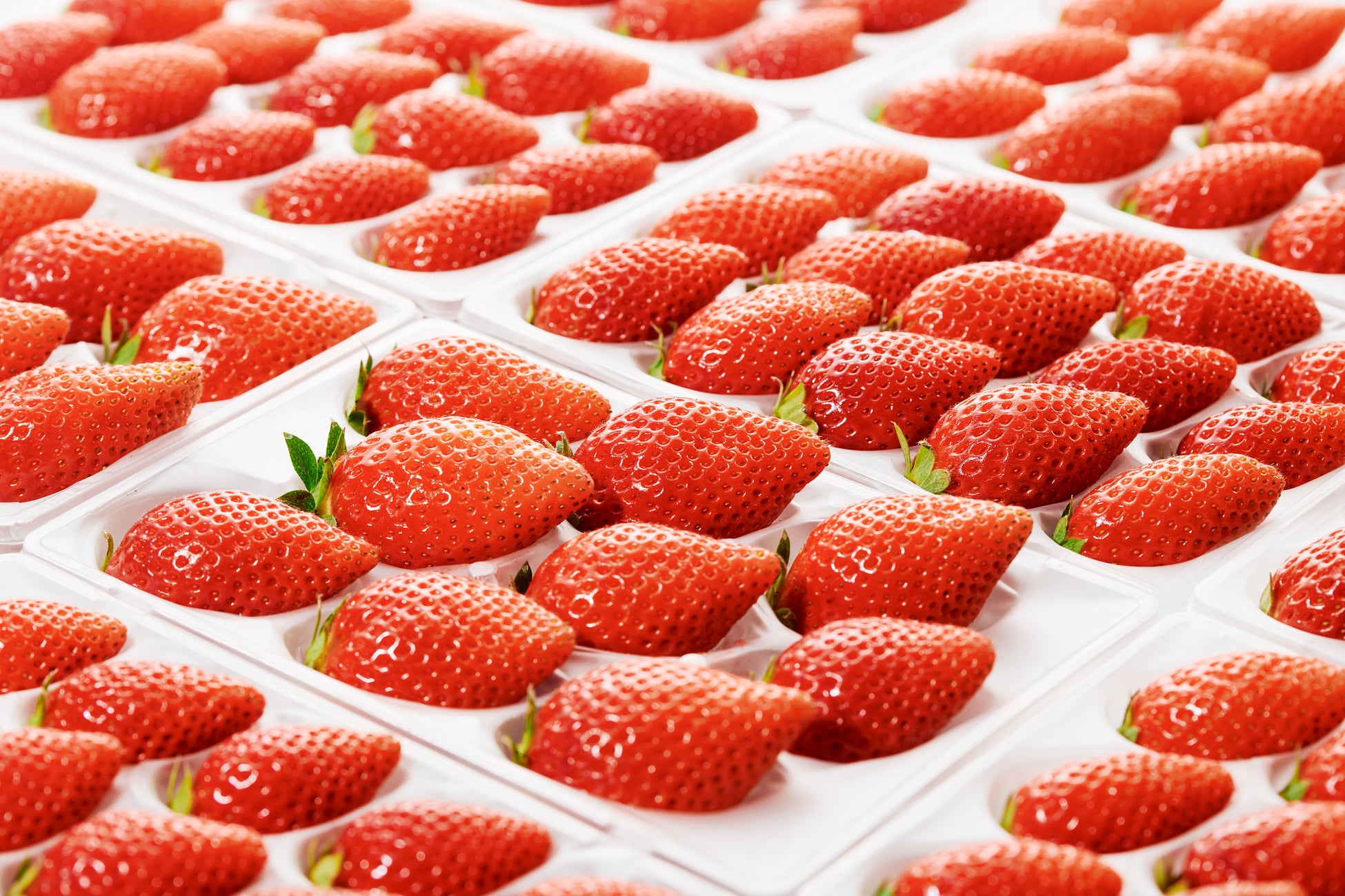 【飲食店DX導入】飲食店のマニュアル形骸化を阻止。WriteVideoで”見られる”動画マニュアルを作成