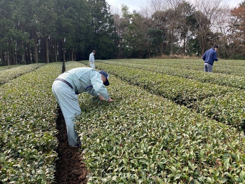 厳選グルメをまるごと堪能　ベイシア「北海道フェア」開催
