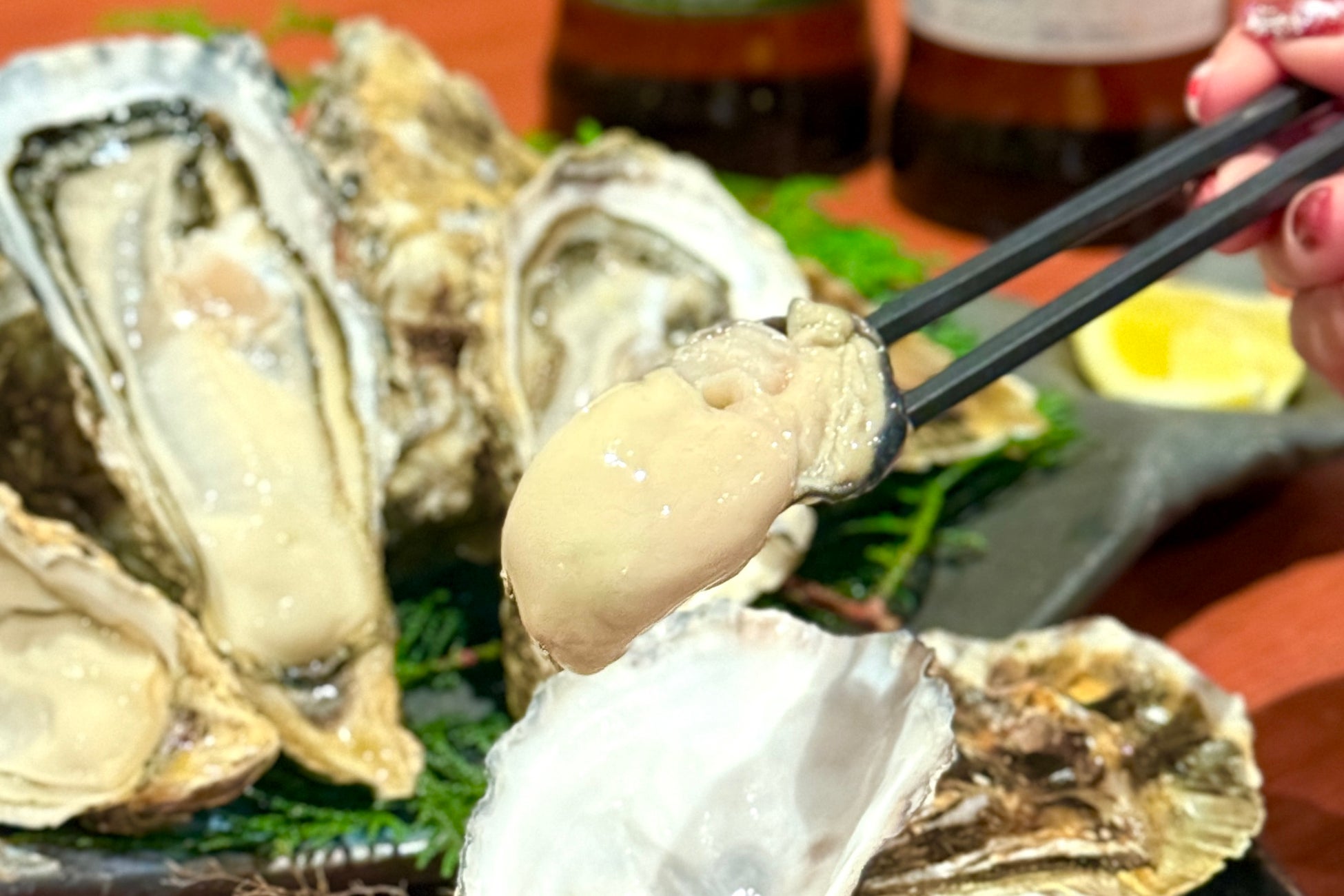 神奈川のクラフトビールが海老名に集結！「EBINA BOOZE FEST 2025」6月７日、8日開催