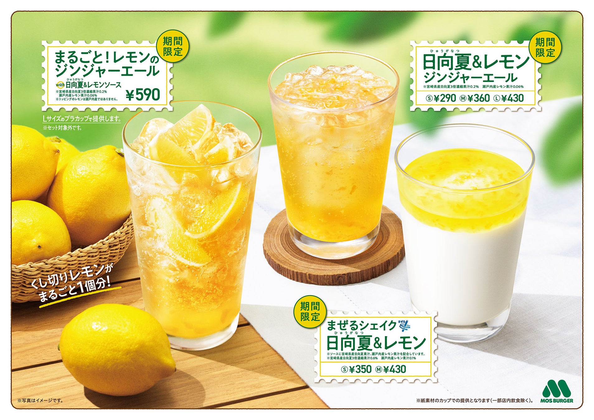 【5/19-5/20、2日間限定】全品半額セール開催！目利きの銀次 肥後橋駅前店がリニューアルオープン！