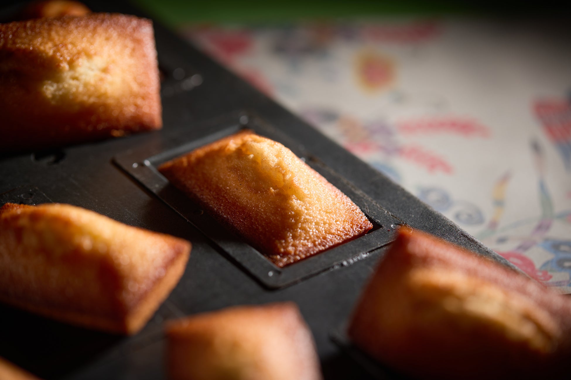 ［東京ベイ舞浜ホテル　ファーストリゾート］ランチタイム限定のフレンチコース「ムニュー・グルマンディーズ Menu Gourmandise」を提供（2025年6月7日～8月31日）