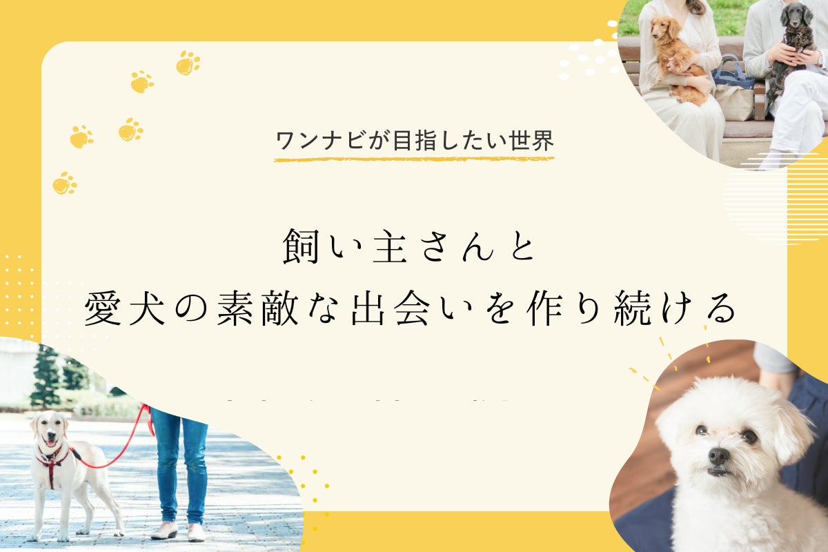 【新商品】沖縄県産素材を使用したこだわりのフィナンシェをお土産に