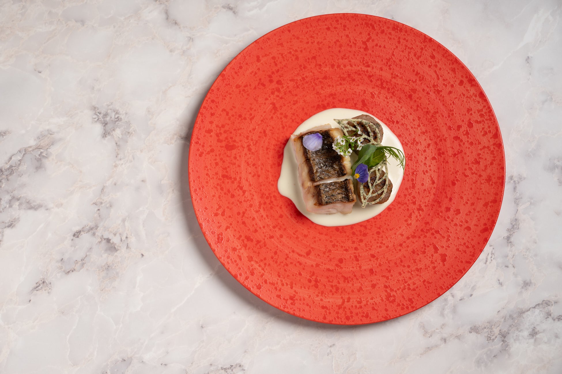 【祝2,500DL突破！】愛犬とのお出かけをもっと楽しく！全国ペット同伴スポット検索アプリ「ワンナビ」、登録約4,000件＆8月に待望のレビュー・お気に入り機能など大型アップデート予定！