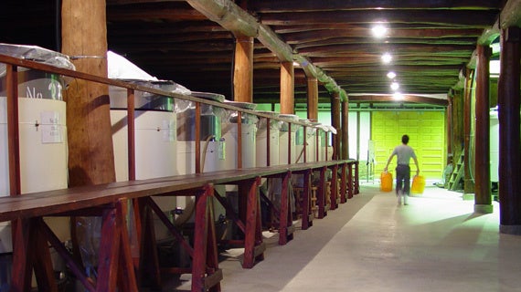 お米の油は、つの食品。暮らしと遊びの総合展示会『FIELDSTYLE EXPO 2025』に出展～田中翔(たなかしょう)さん監修レシピを実演～