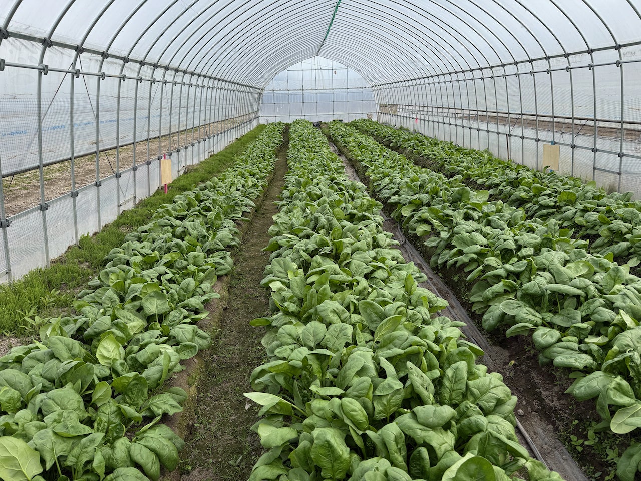 父の日に贈ろう　「２種のアイスコーヒーと選べるカラーの水出しコーヒーボトルセット」　ドトール オンラインショップ限定で5月16日より予約開始