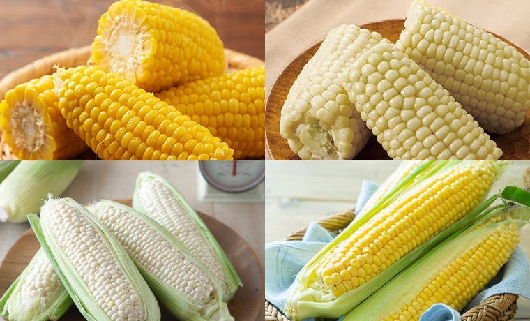 【ＢＳ日テレ】「ドランク塚地のふらっと立ち食いそば」革命が起きた！和と洋のマリアージュにドランク塚地も虜！　「ベーコンエッグそば」に衝撃！　おつゆは生き物！データに裏打ちされた店主のこだわり