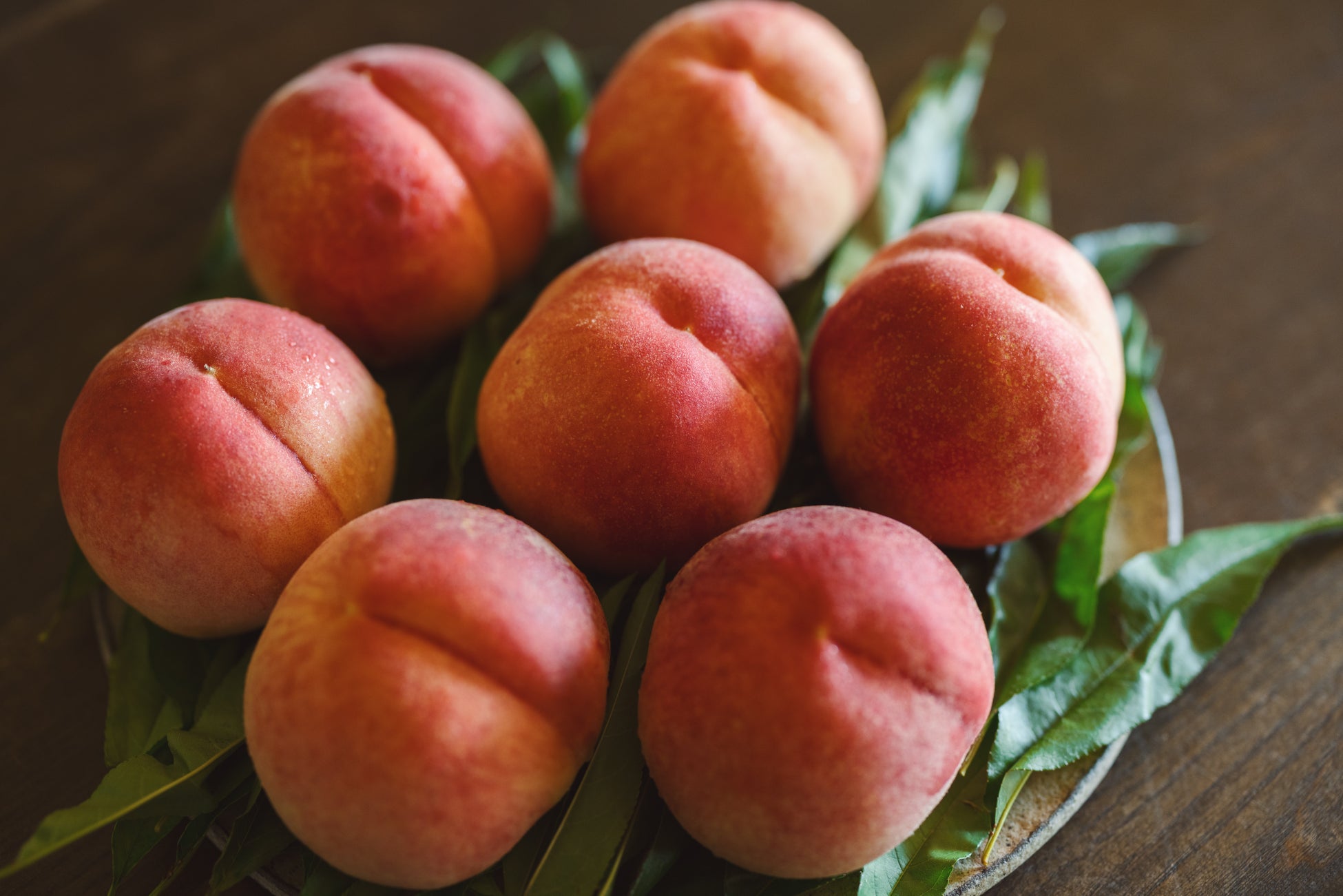 【待望のオープン】予約注文開始日に即日700個完売！今話題の新重奏米菓「あんとろべい」をついに東京駅で買える！SHIRO SASARAYA