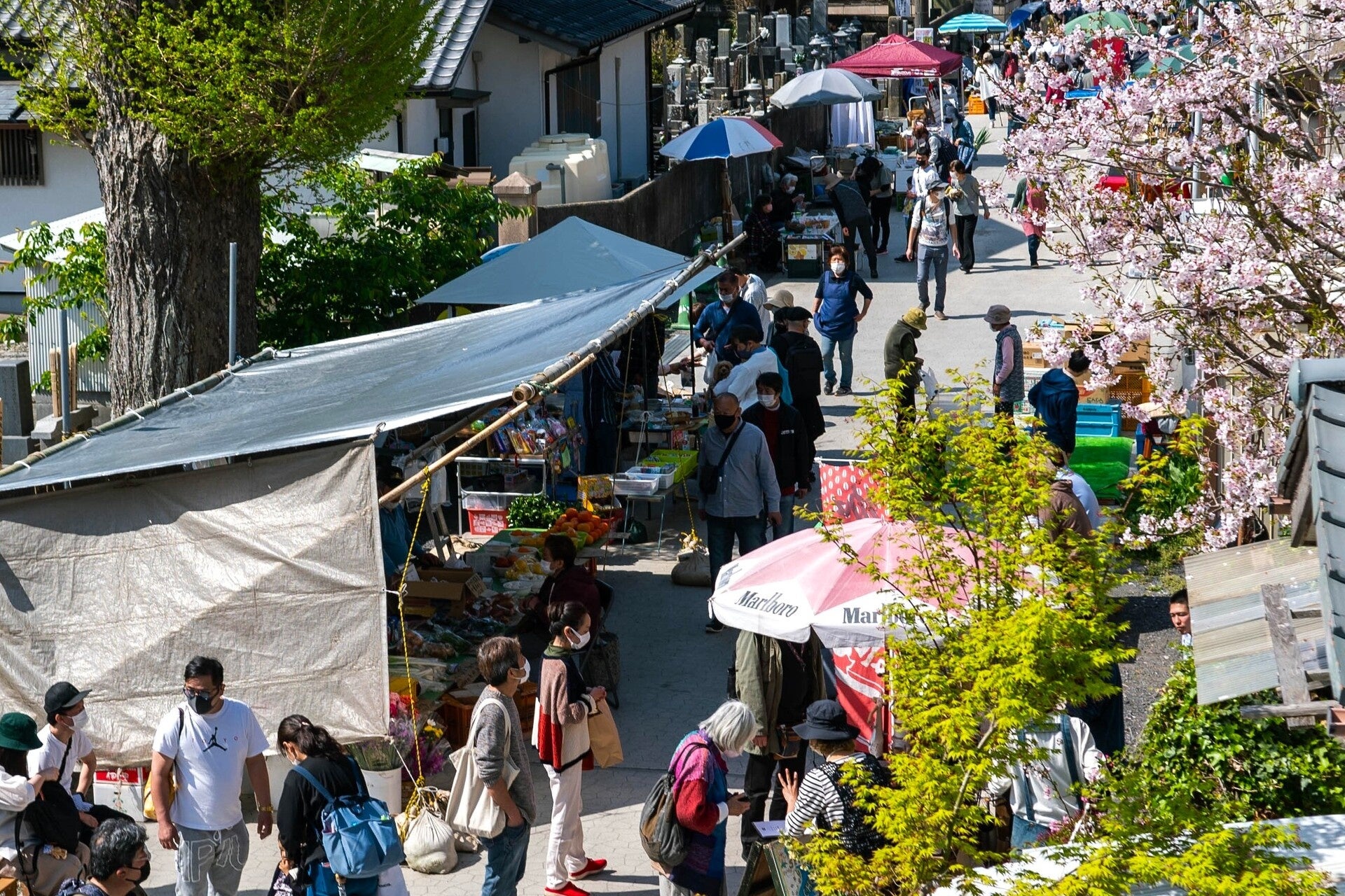 辛ラーメンが人気焼肉チェーン『焼肉きんぐ』とコラボ！ 5月21日（水）からXキャンペーンを開催